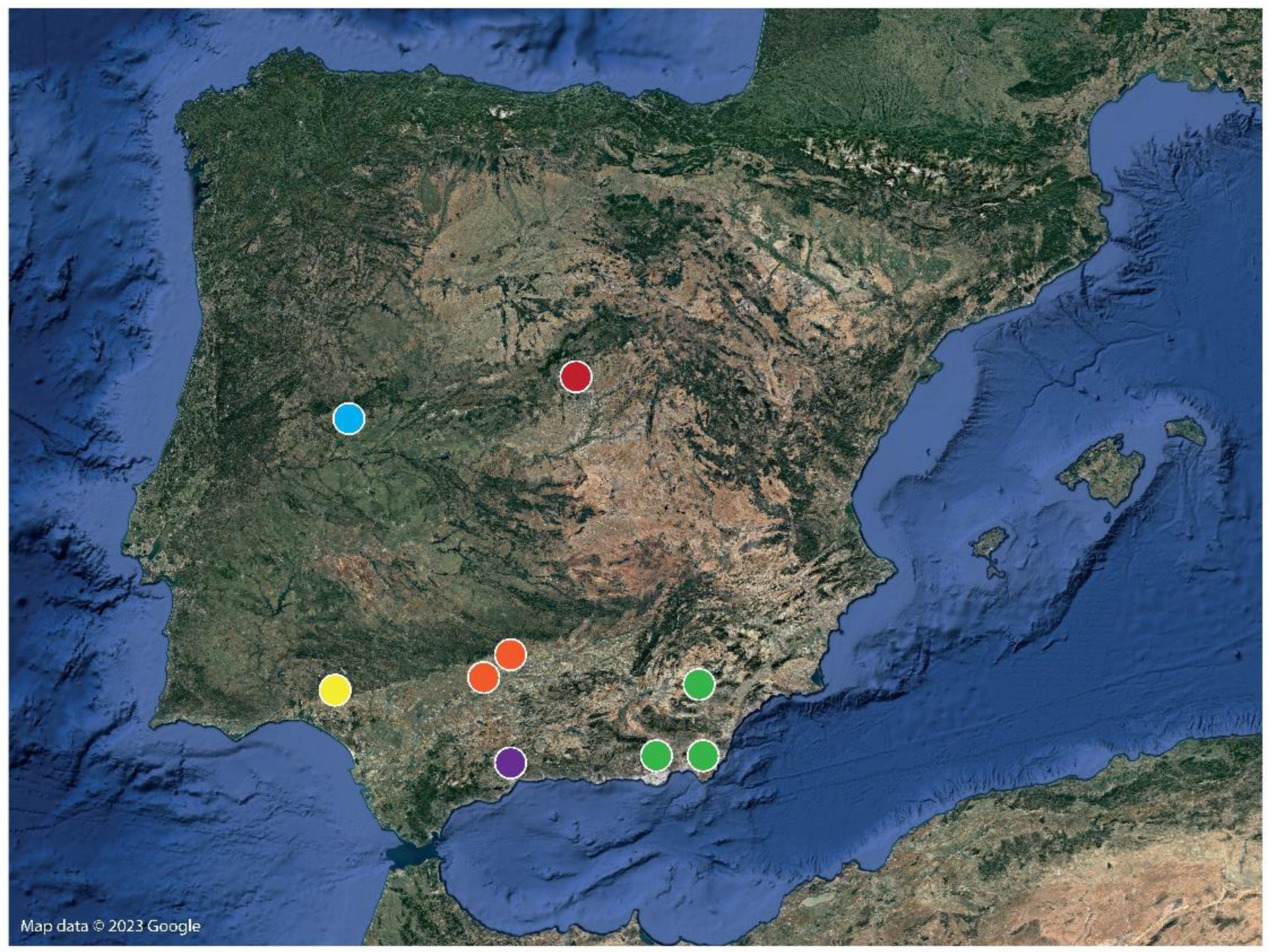 Insects 15 00284 g001