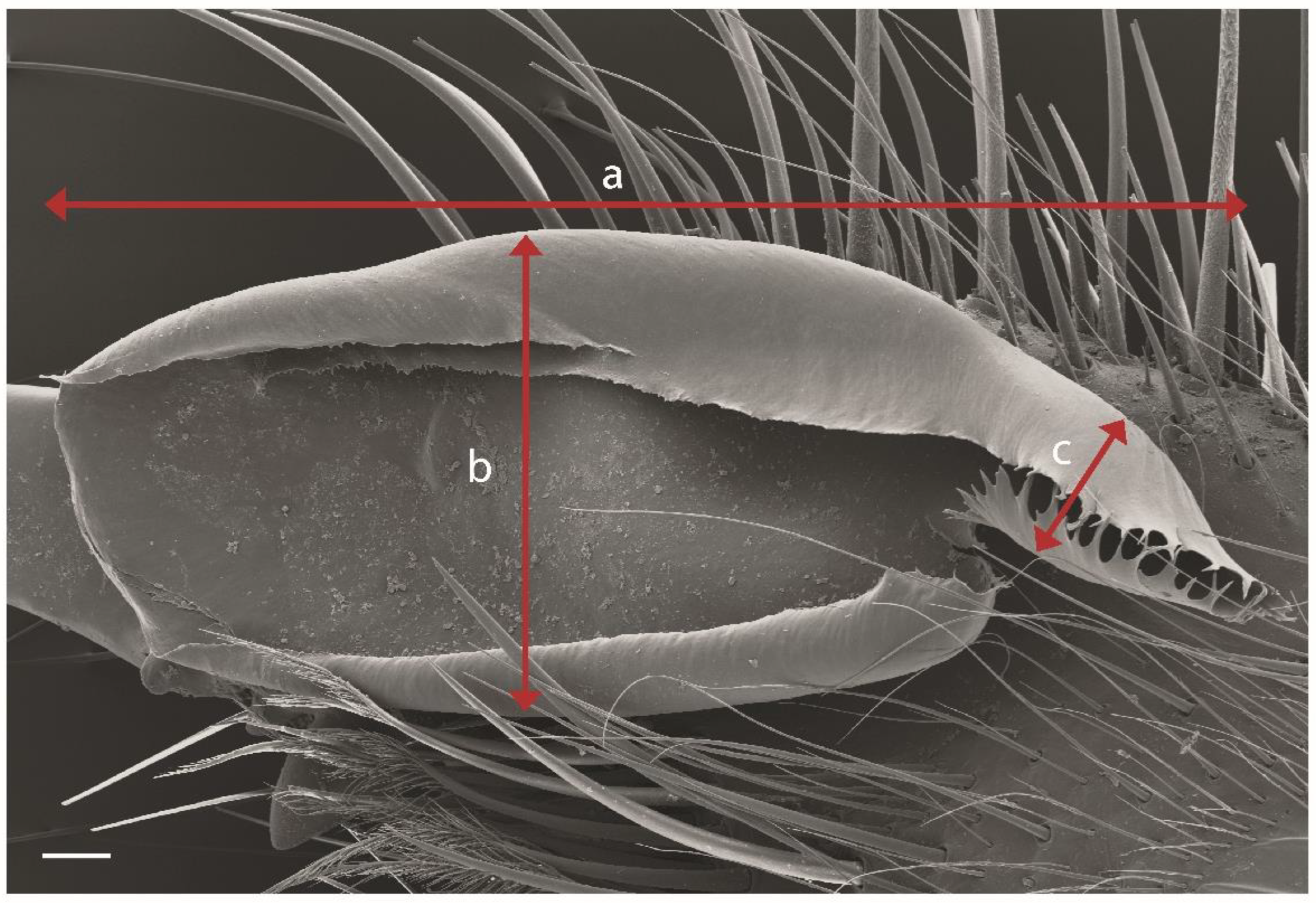 Insects 15 00284 g002