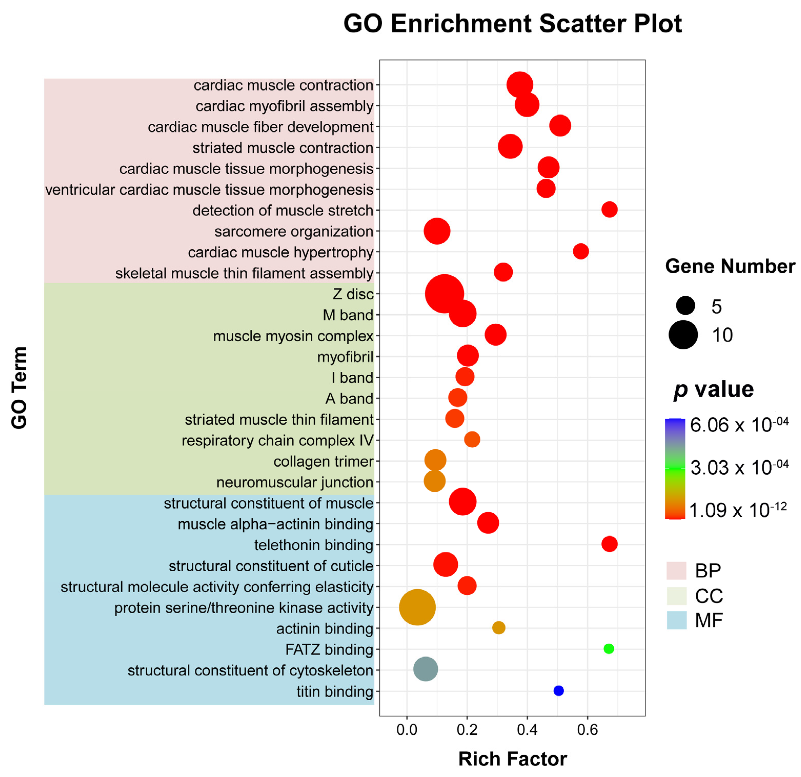 Insects 15 00288 g004