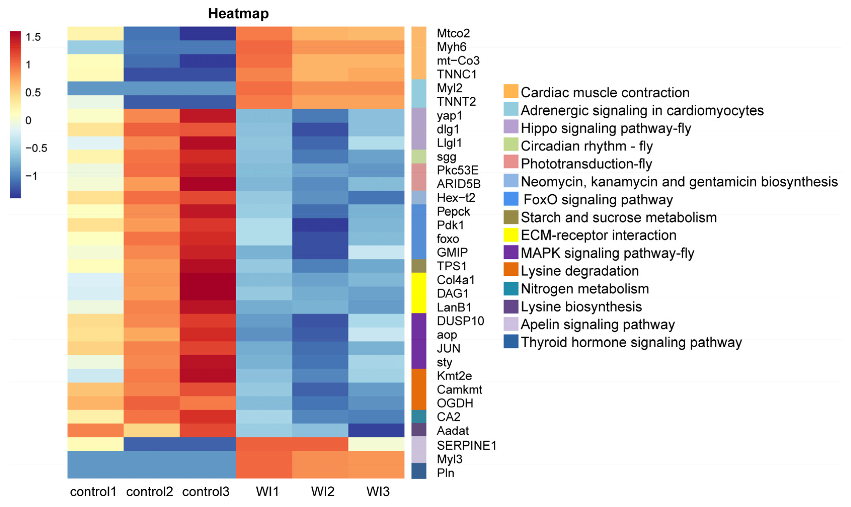 Insects 15 00288 g006