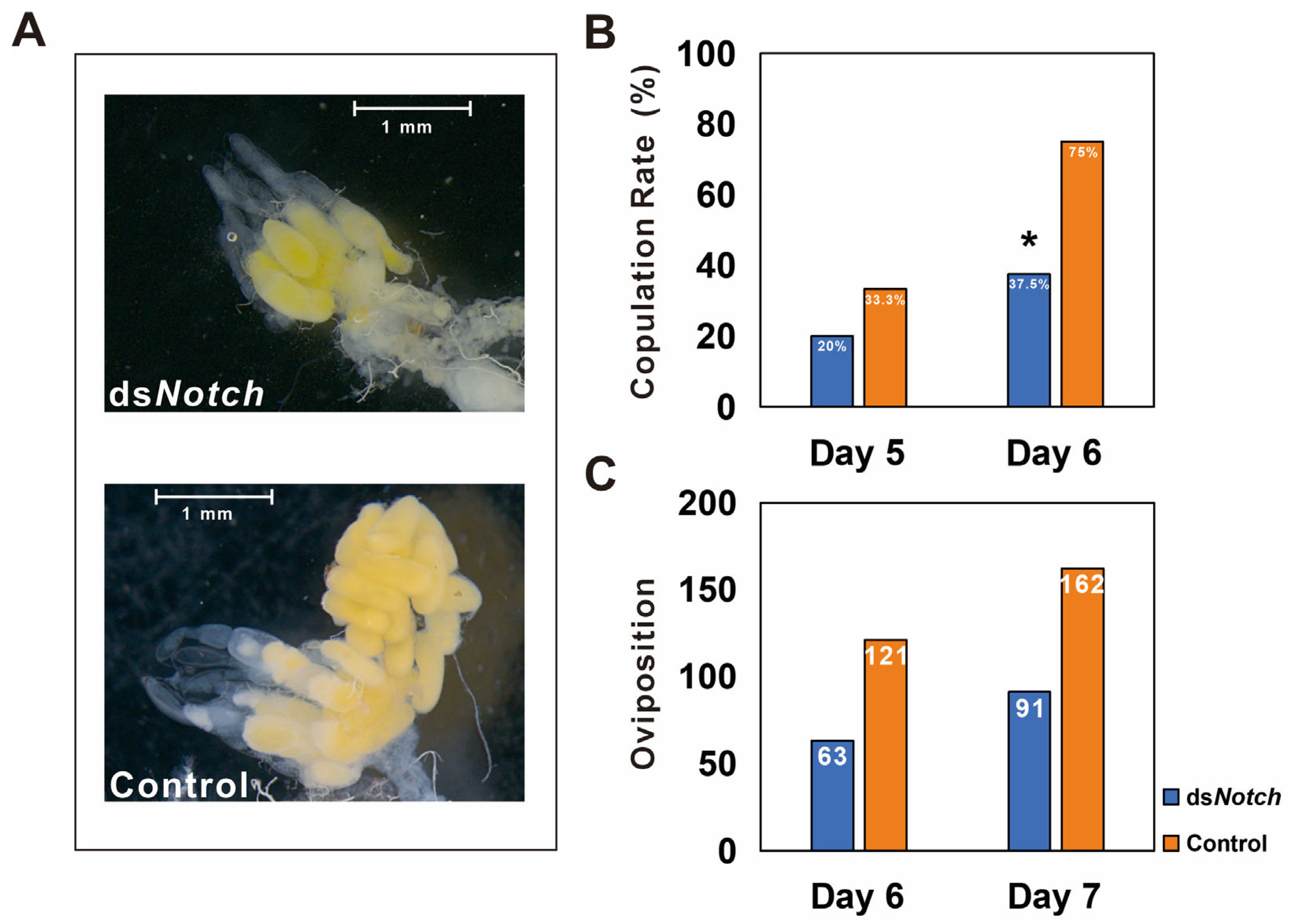 Insects 15 00292 g004