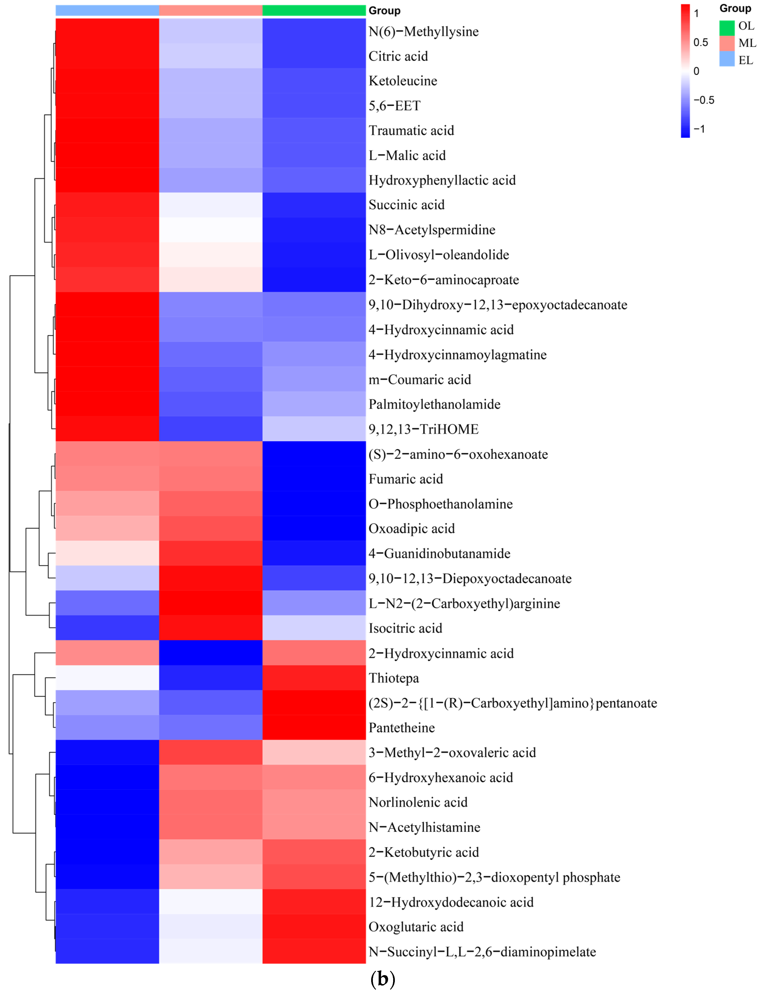 Insects 15 00294 g003b