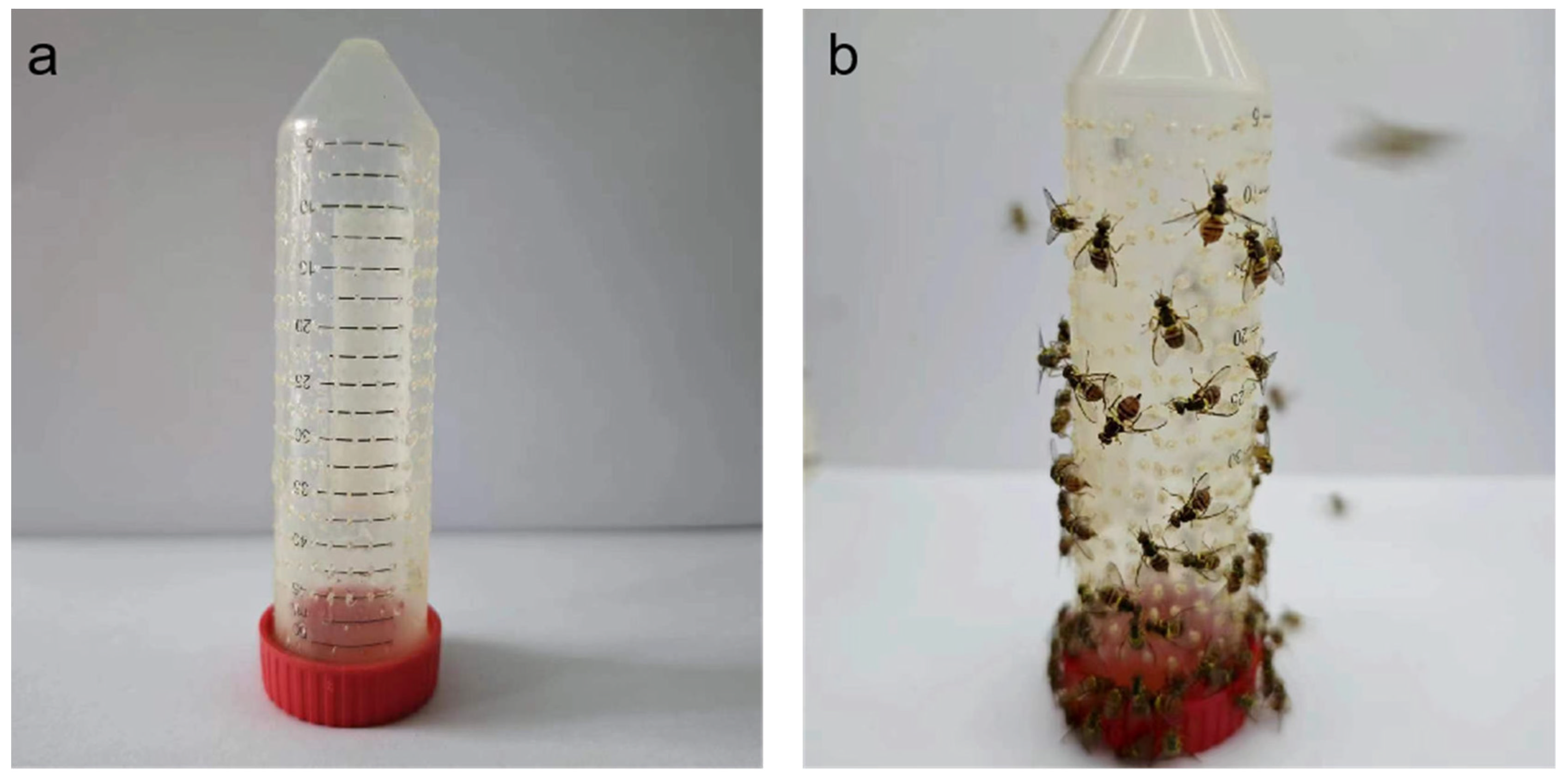 Insects 15 00322 g001