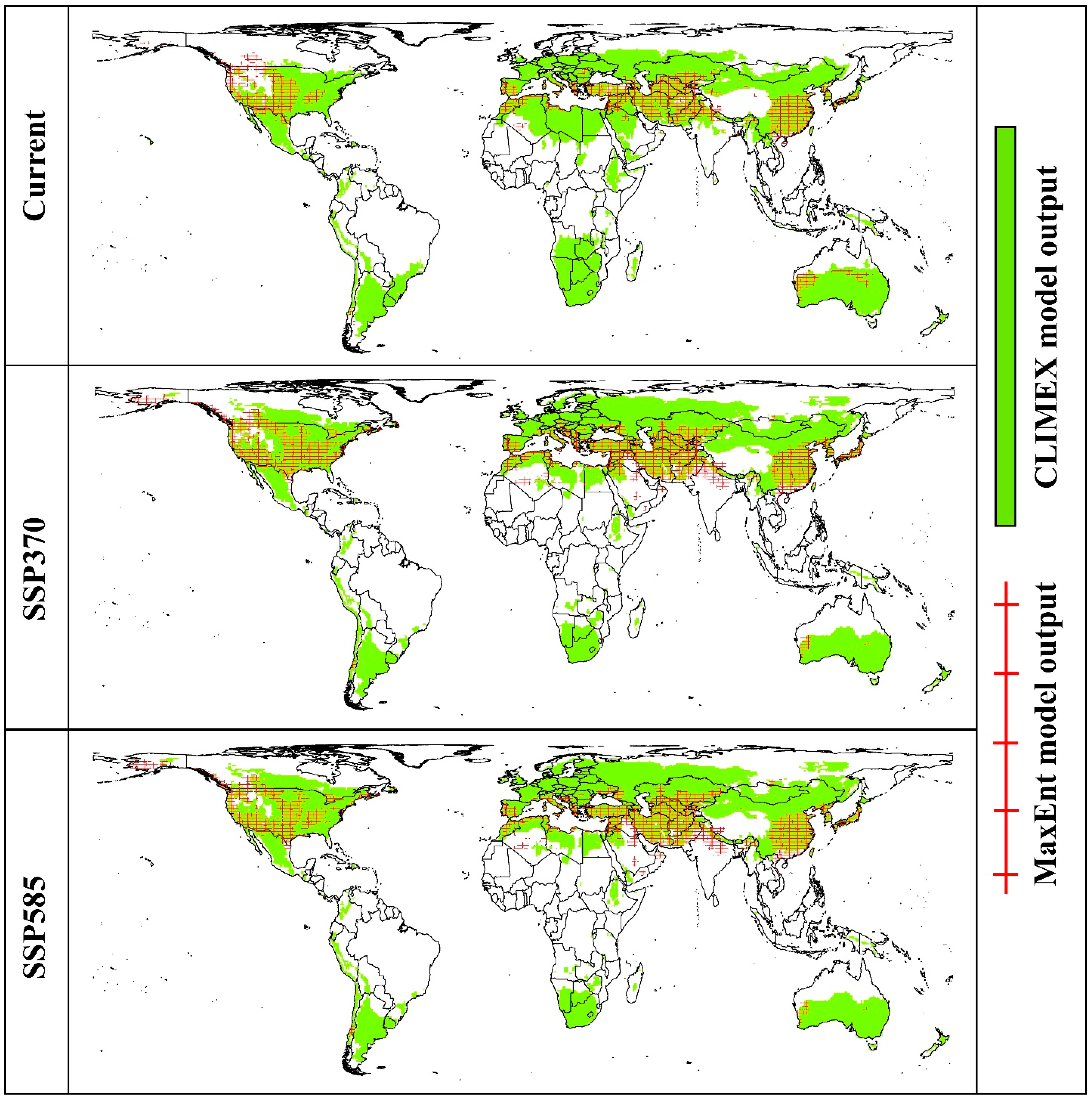 Insects 15 00324 g006