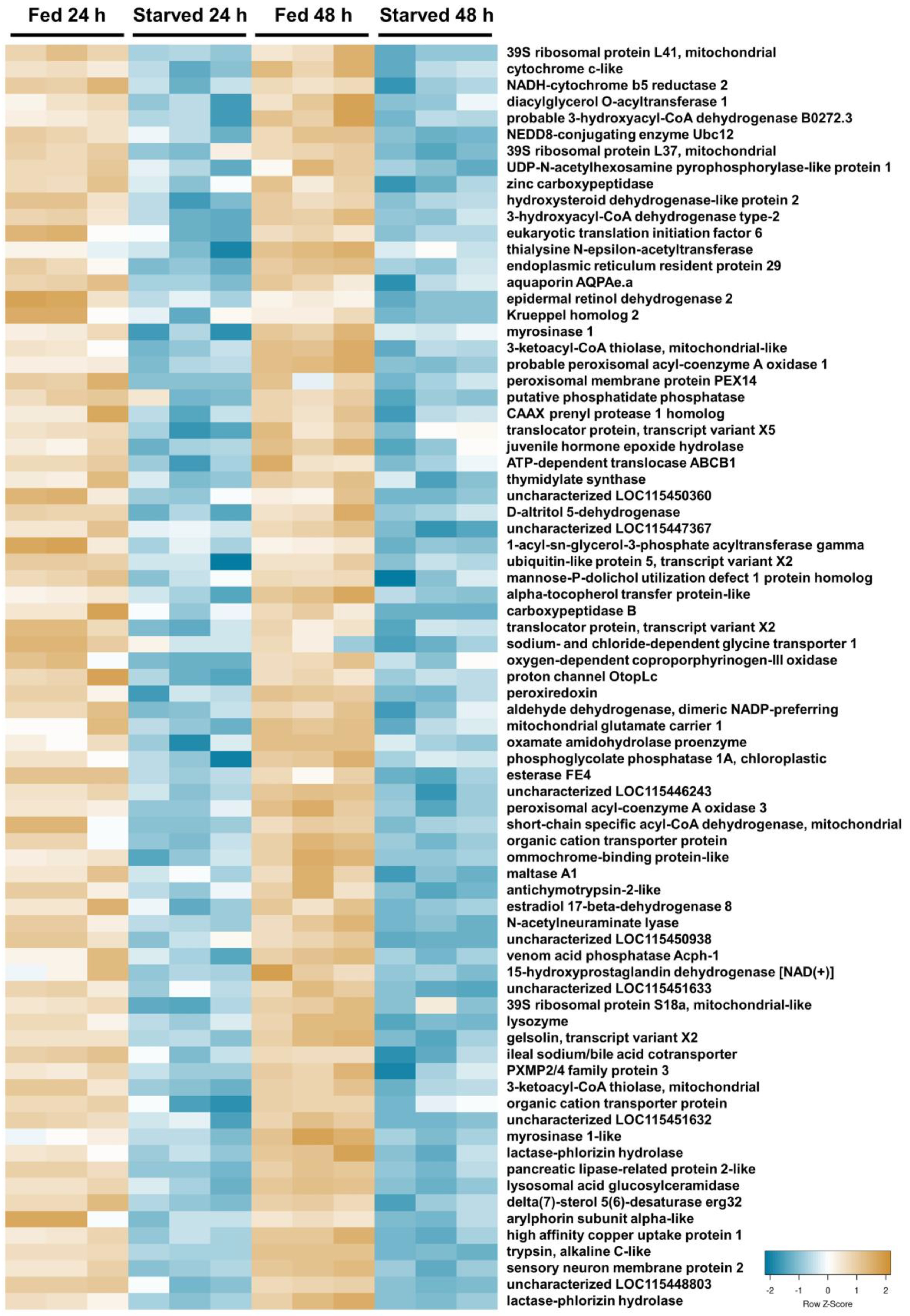 Insects 15 00325 g002