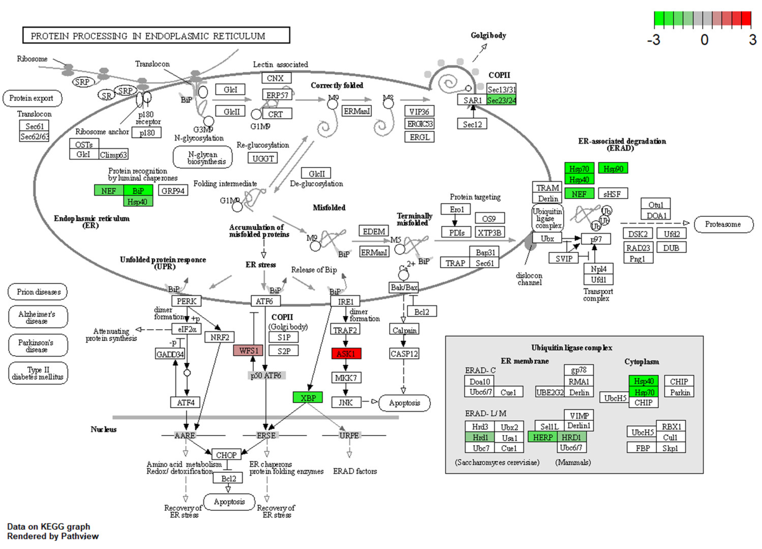 Insects 15 00326 g004