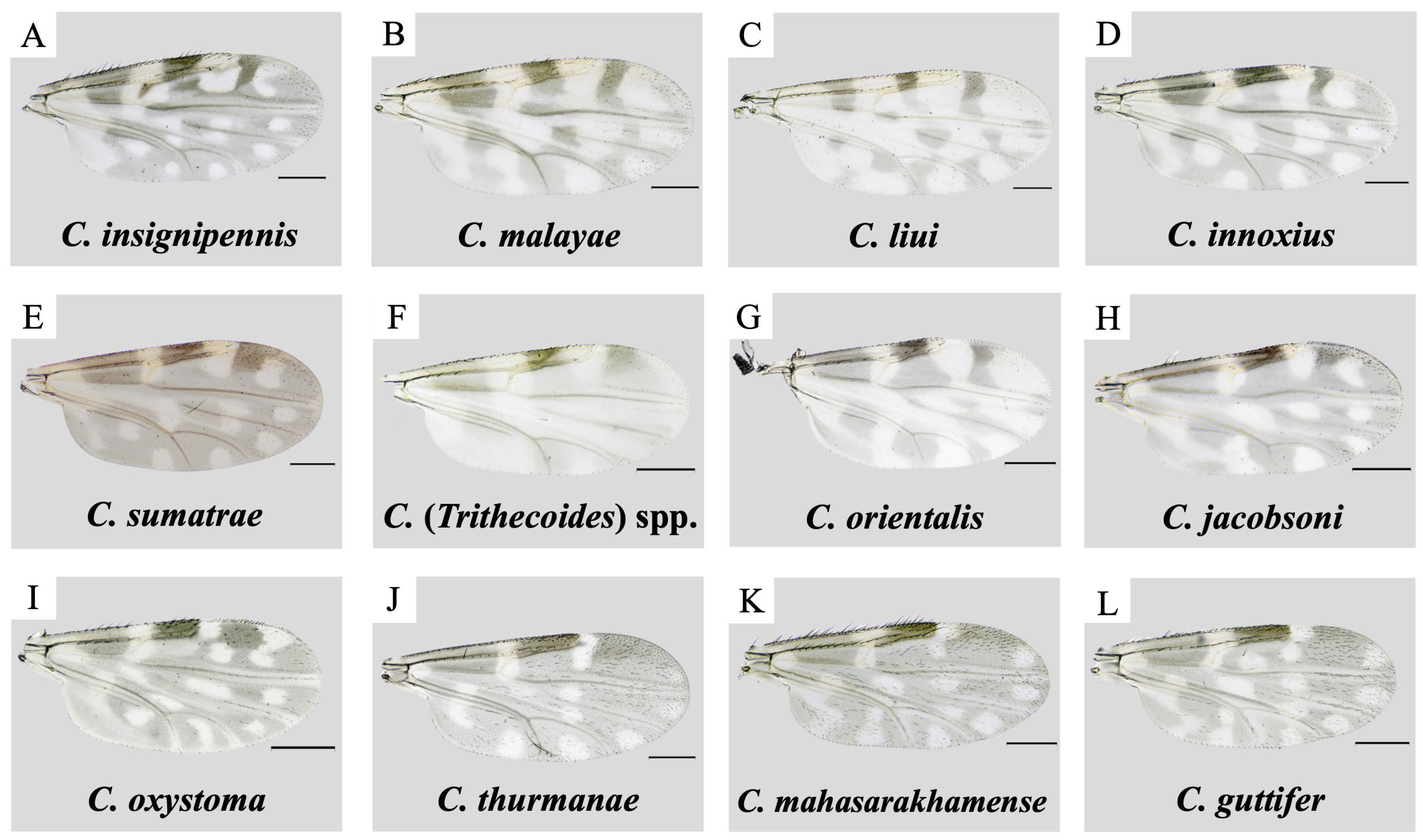 Insects 15 00327 g002