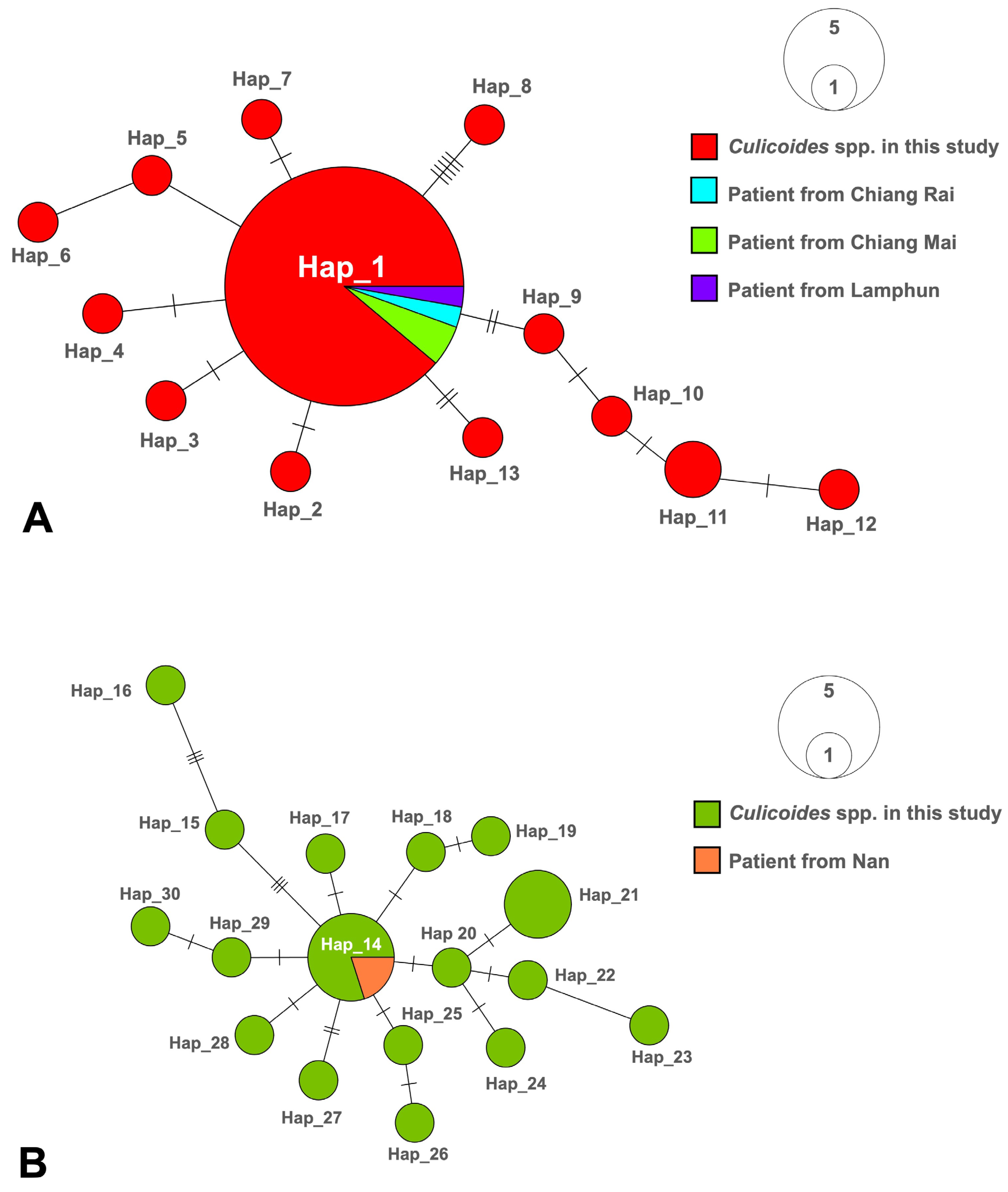 Insects 15 00327 g004