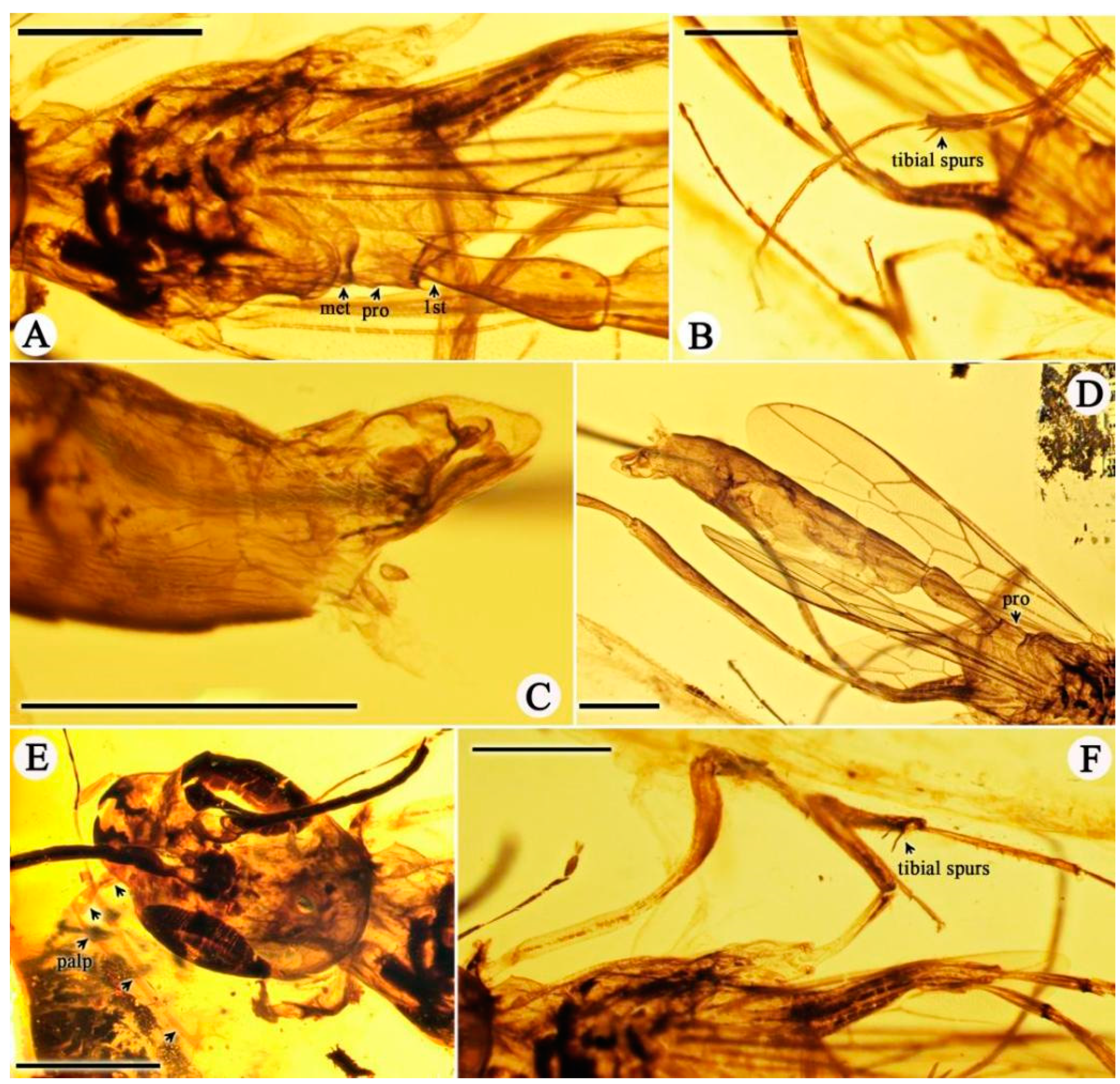 Insects 15 00351 g003