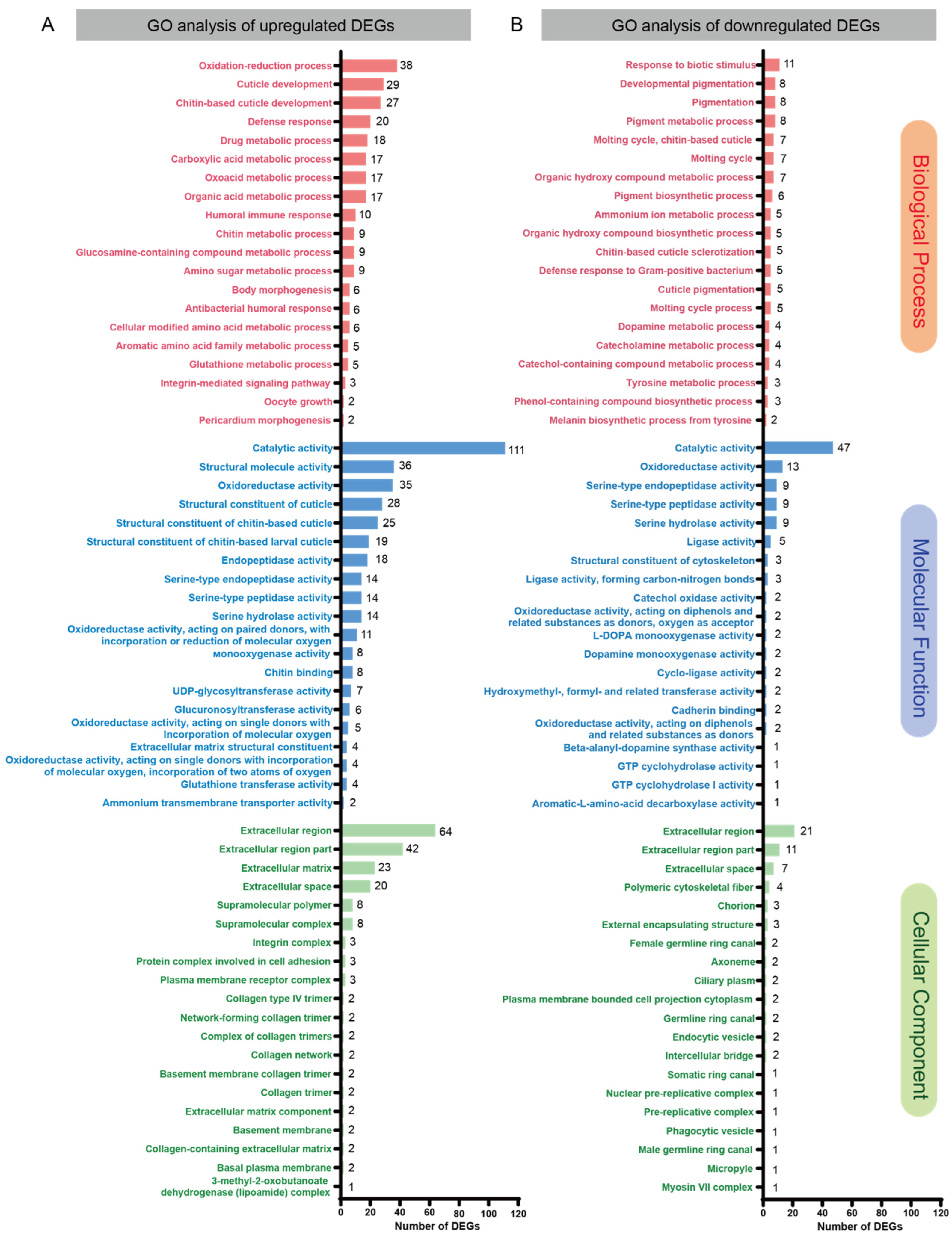 Insects 15 00352 g002