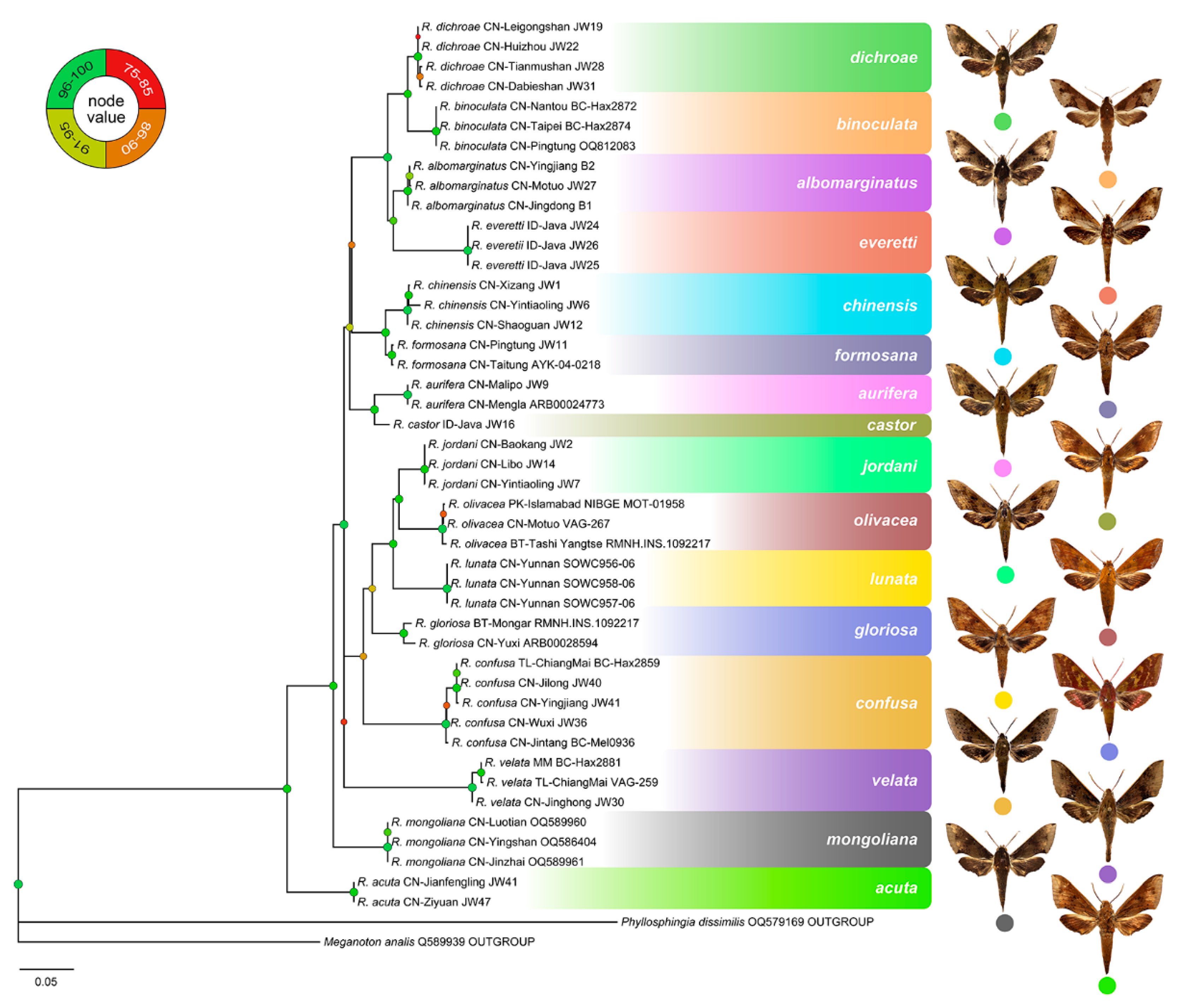 Insects 15 00359 g005