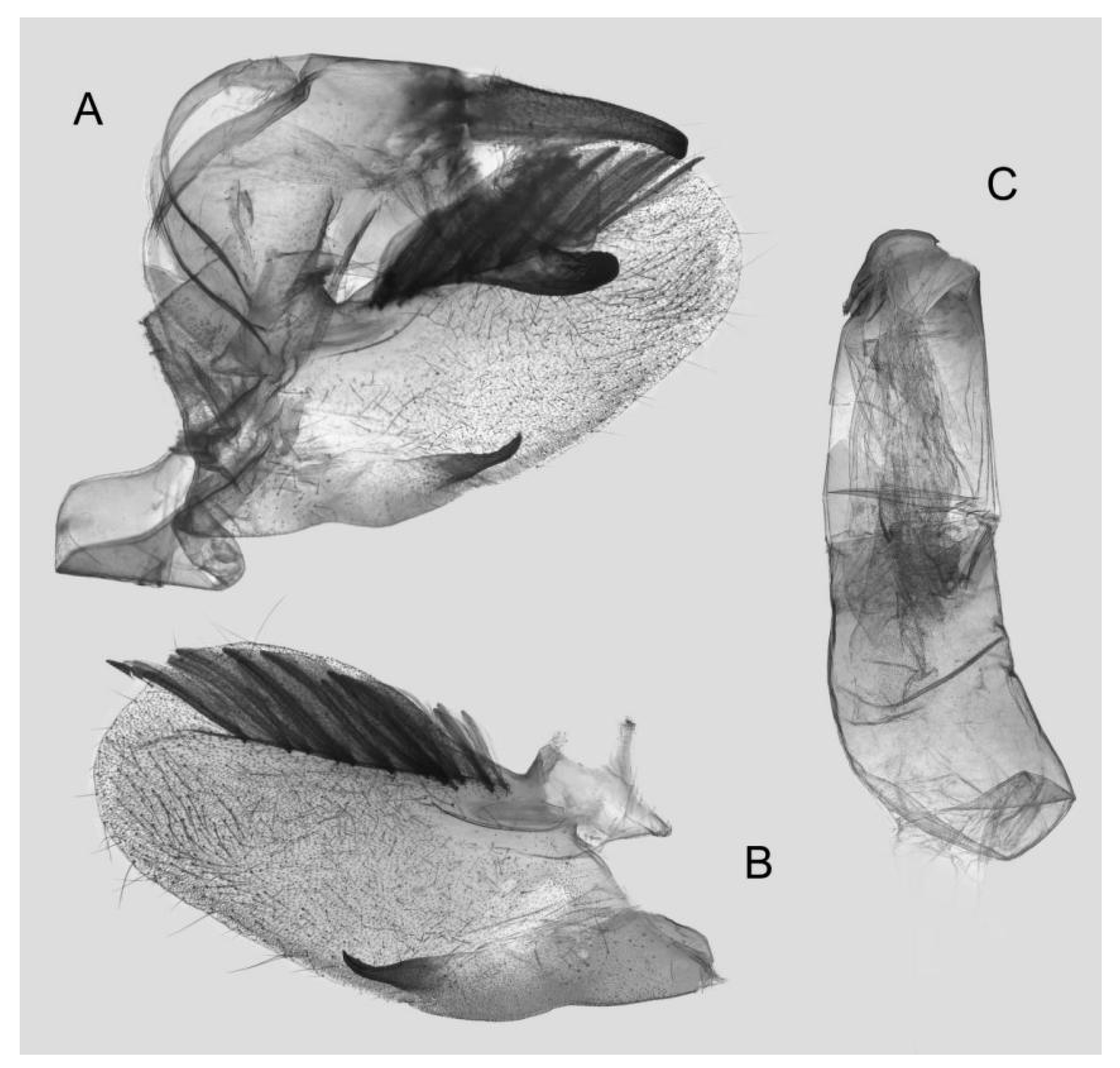 Insects 15 00359 g008