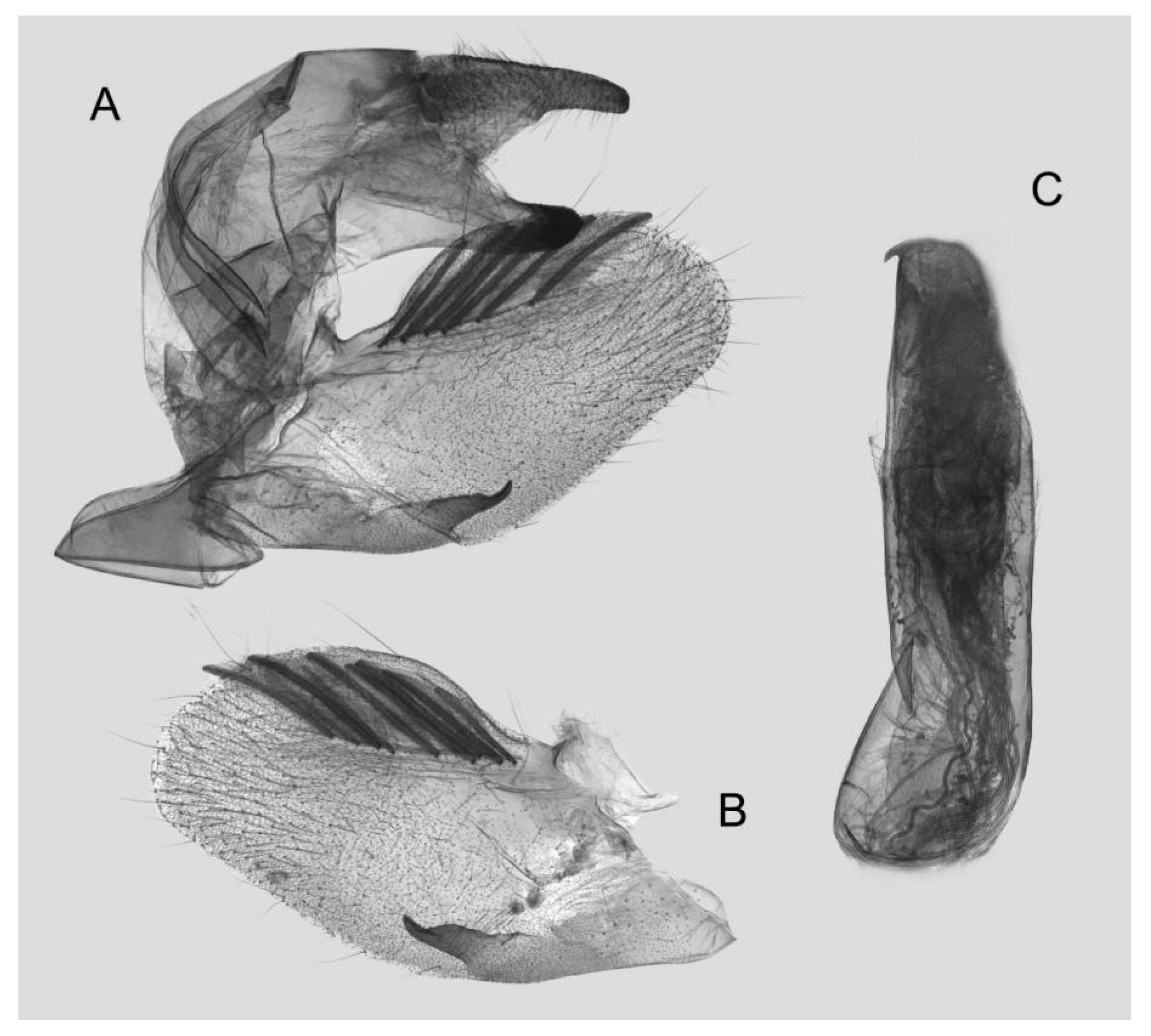 Insects 15 00359 g011