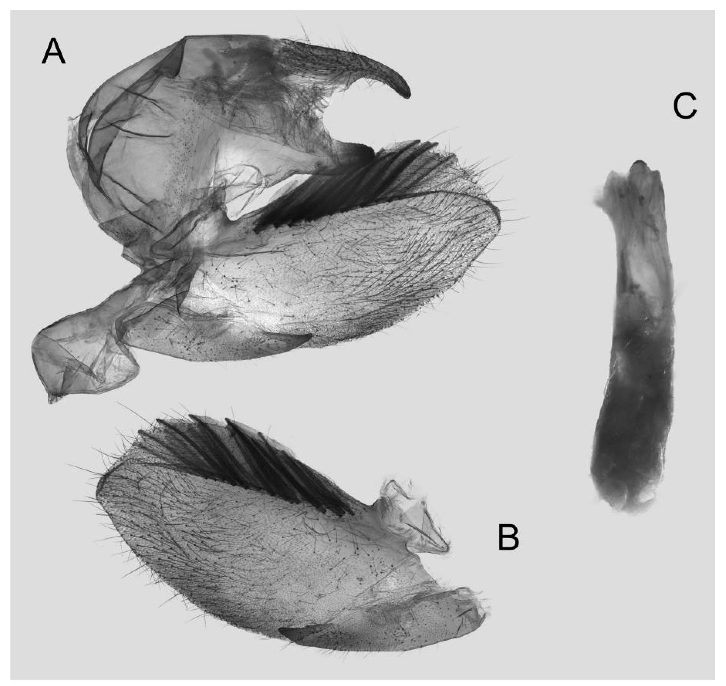 Insects 15 00359 g014