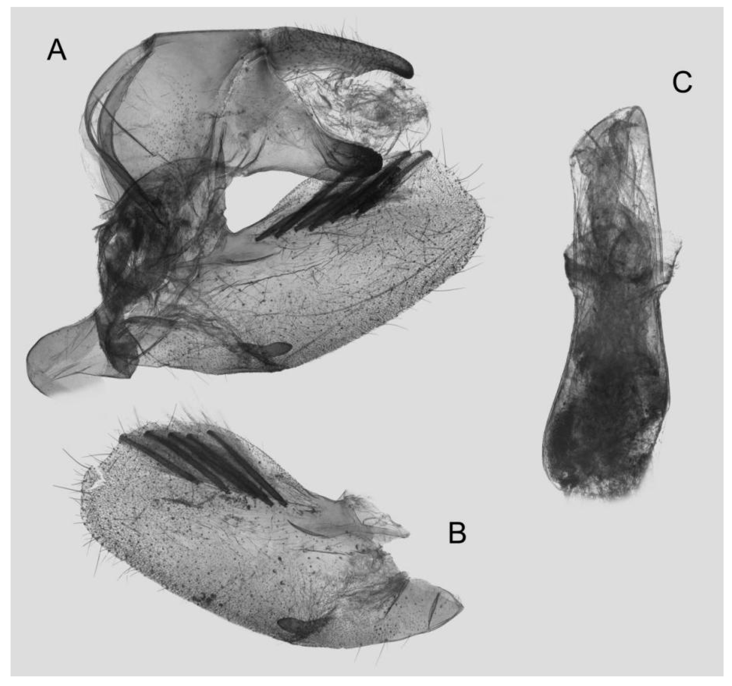 Insects 15 00359 g016