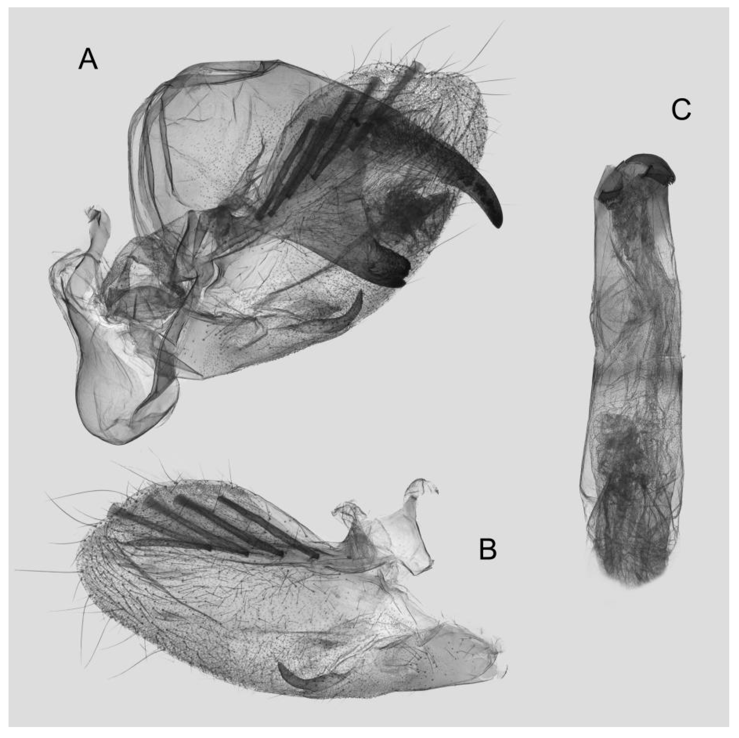 Insects 15 00359 g018