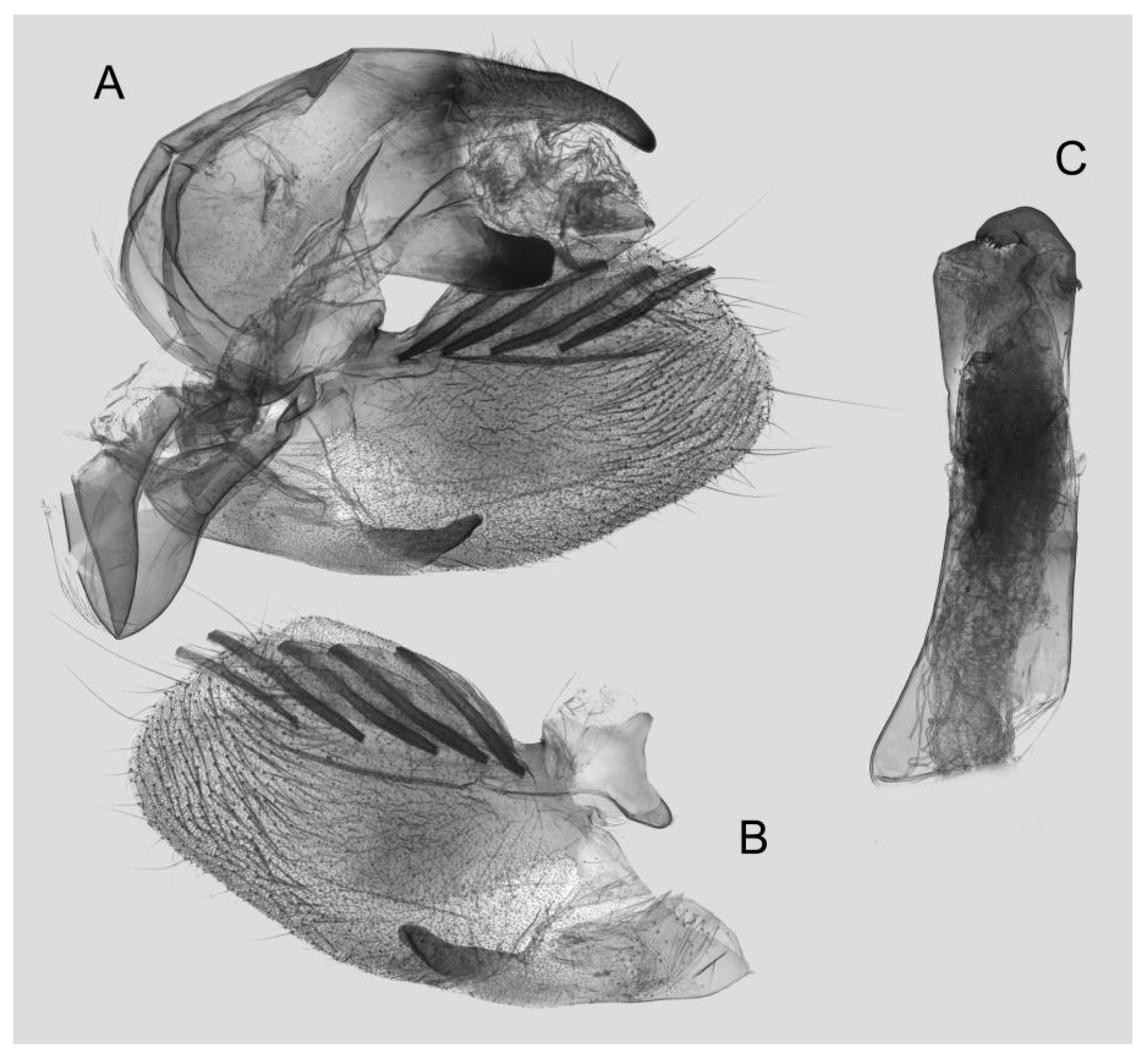 Insects 15 00359 g021
