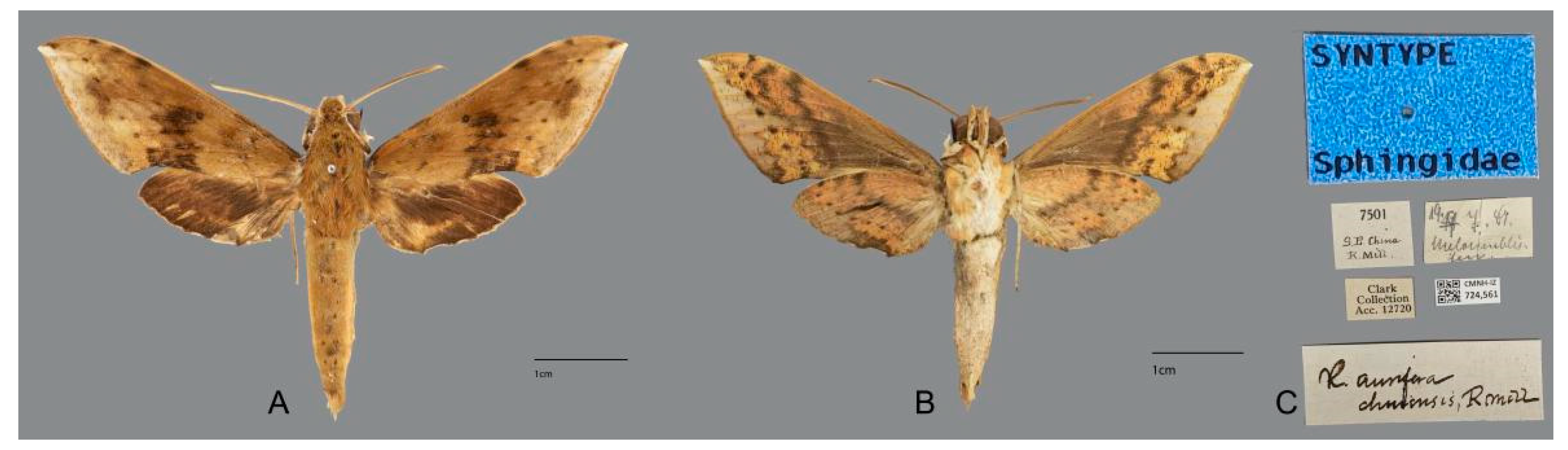 Insects 15 00359 g022