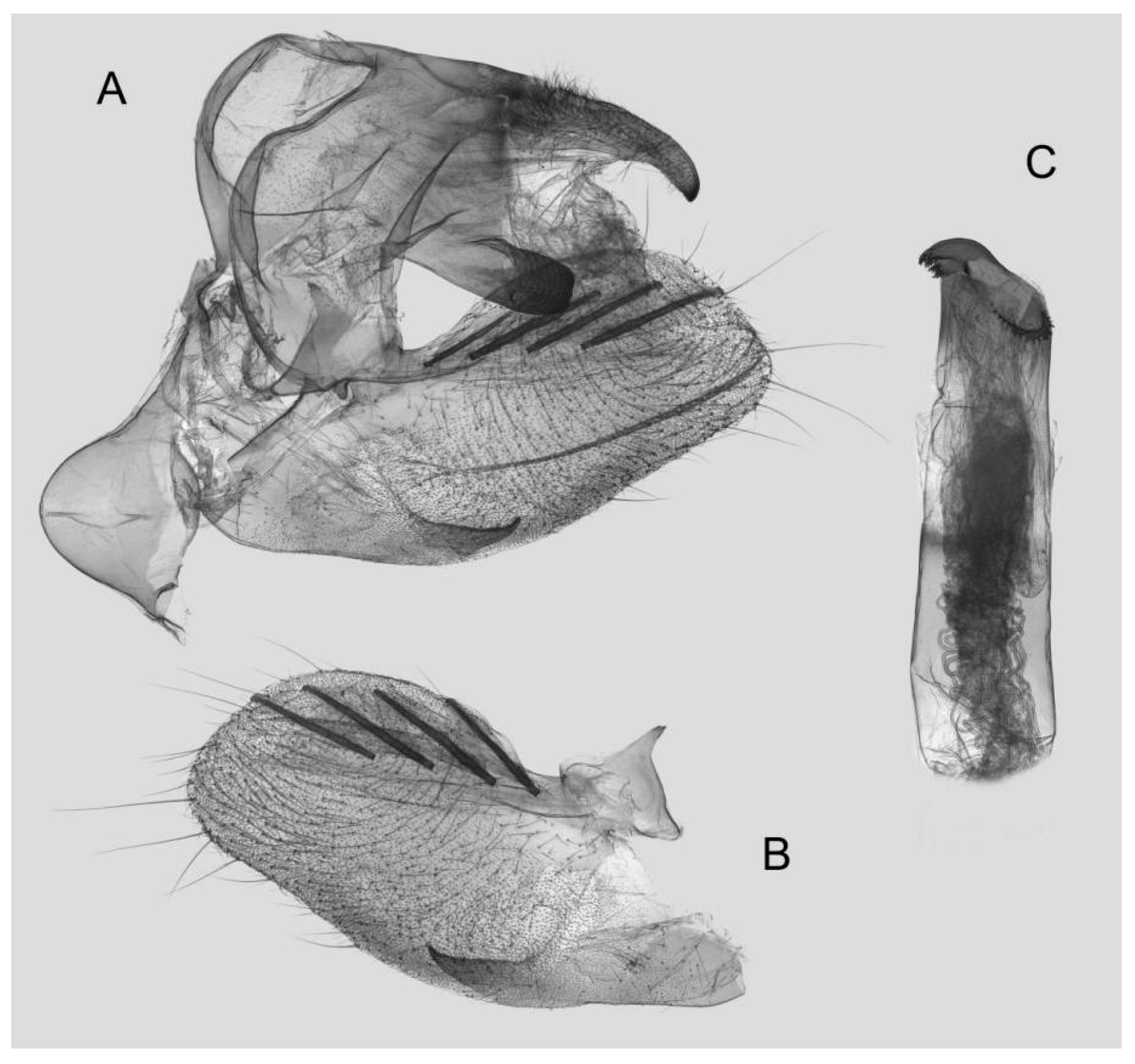 Insects 15 00359 g024