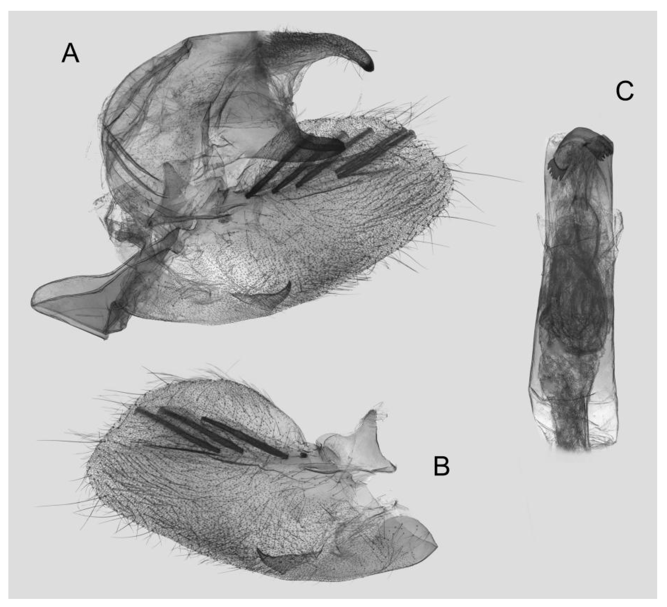 Insects 15 00359 g027