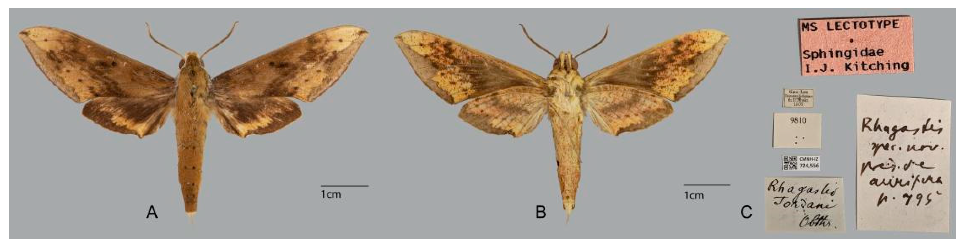 Insects 15 00359 g029