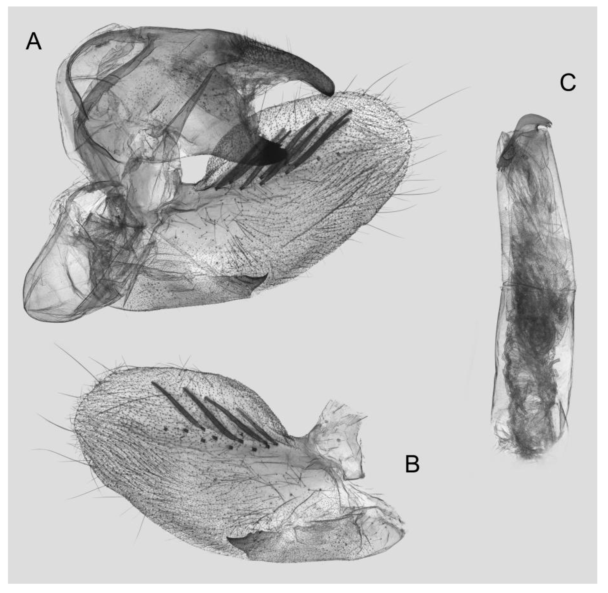 Insects 15 00359 g031