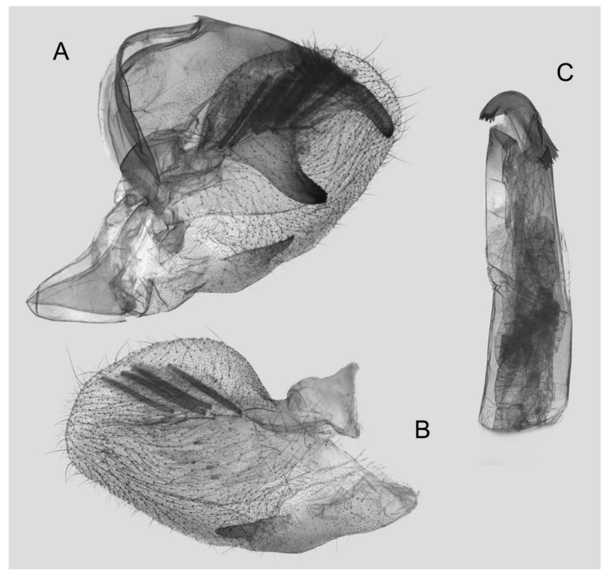 Insects 15 00359 g033