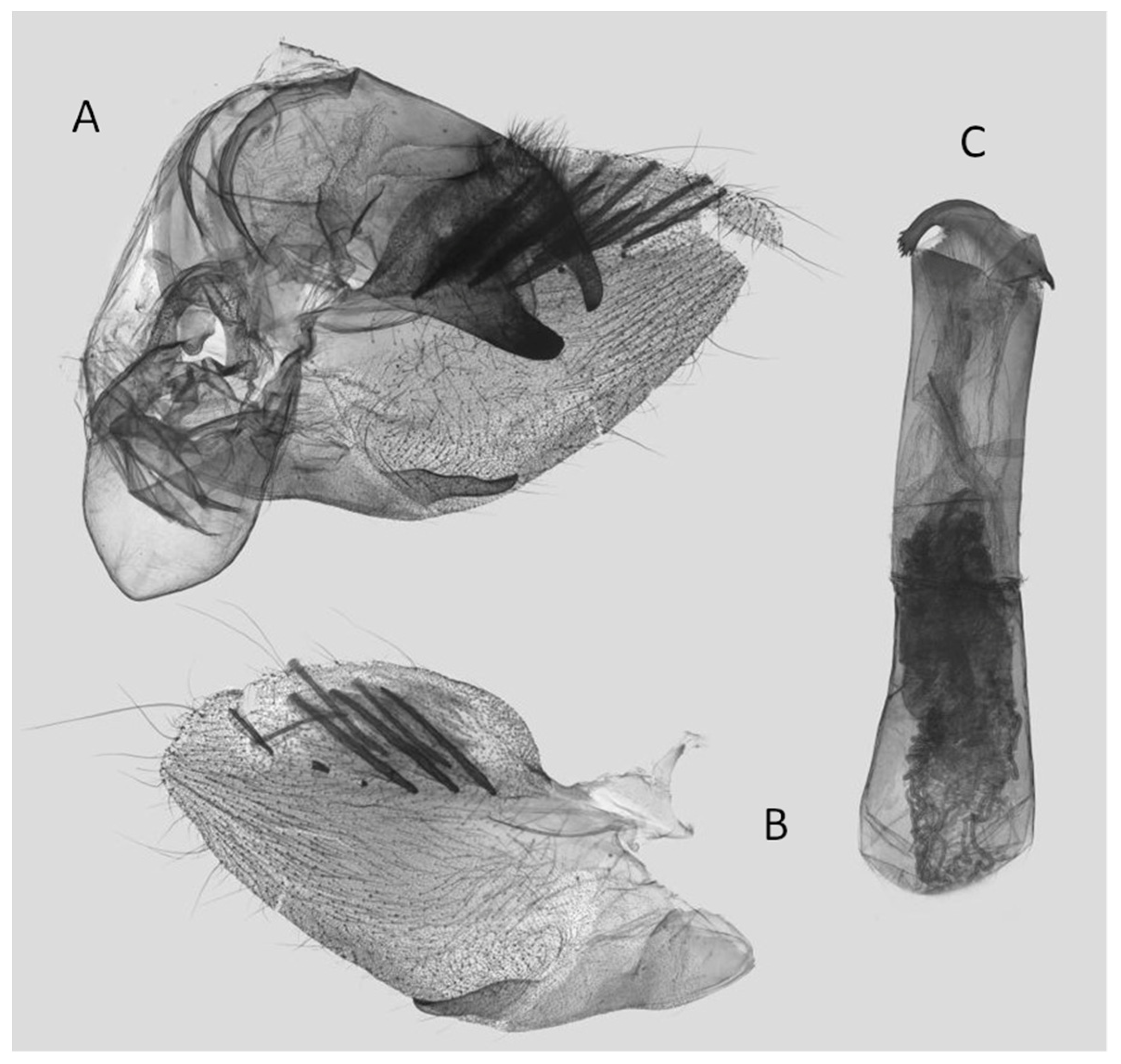 Insects 15 00359 g039