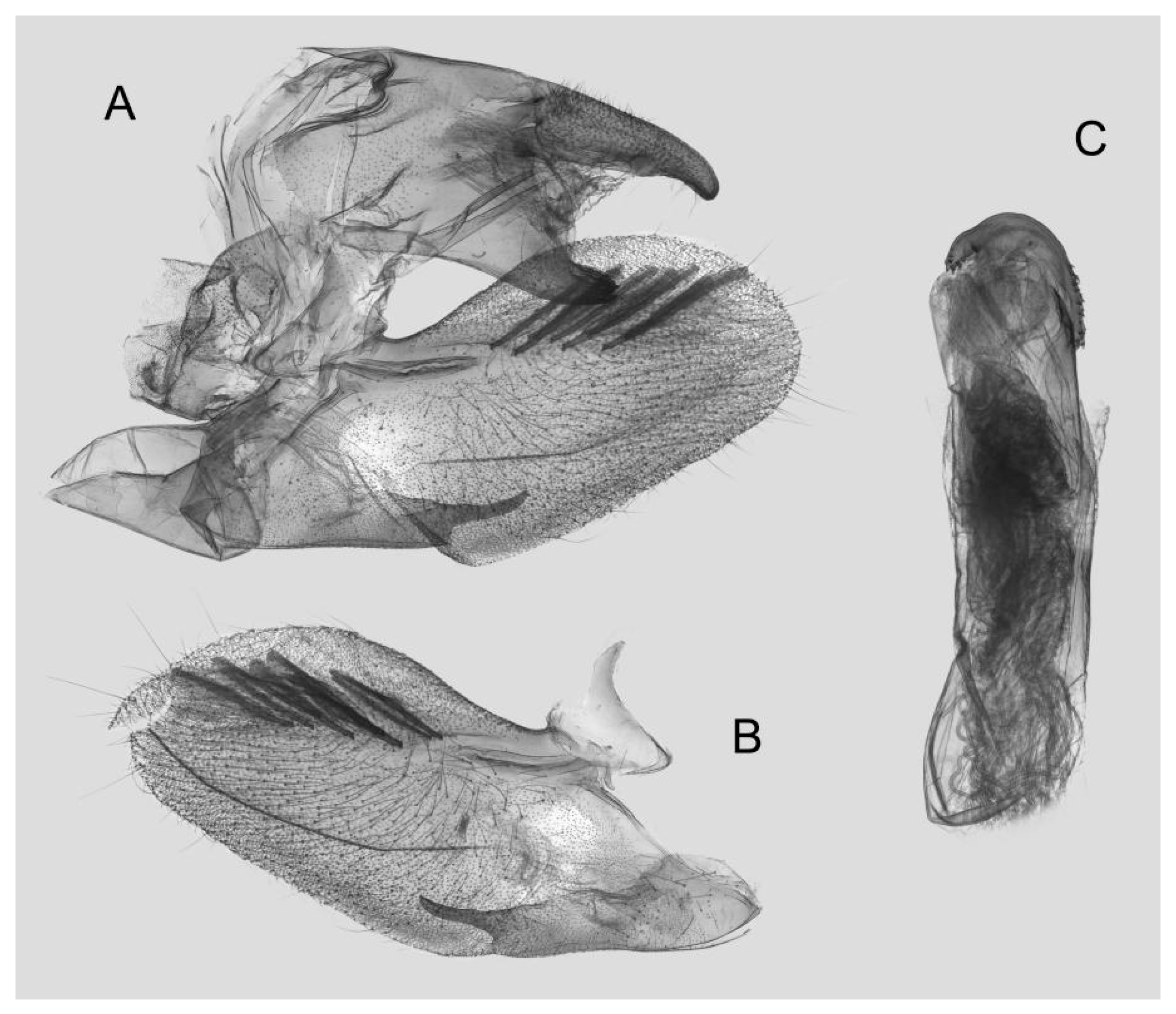 Insects 15 00359 g042