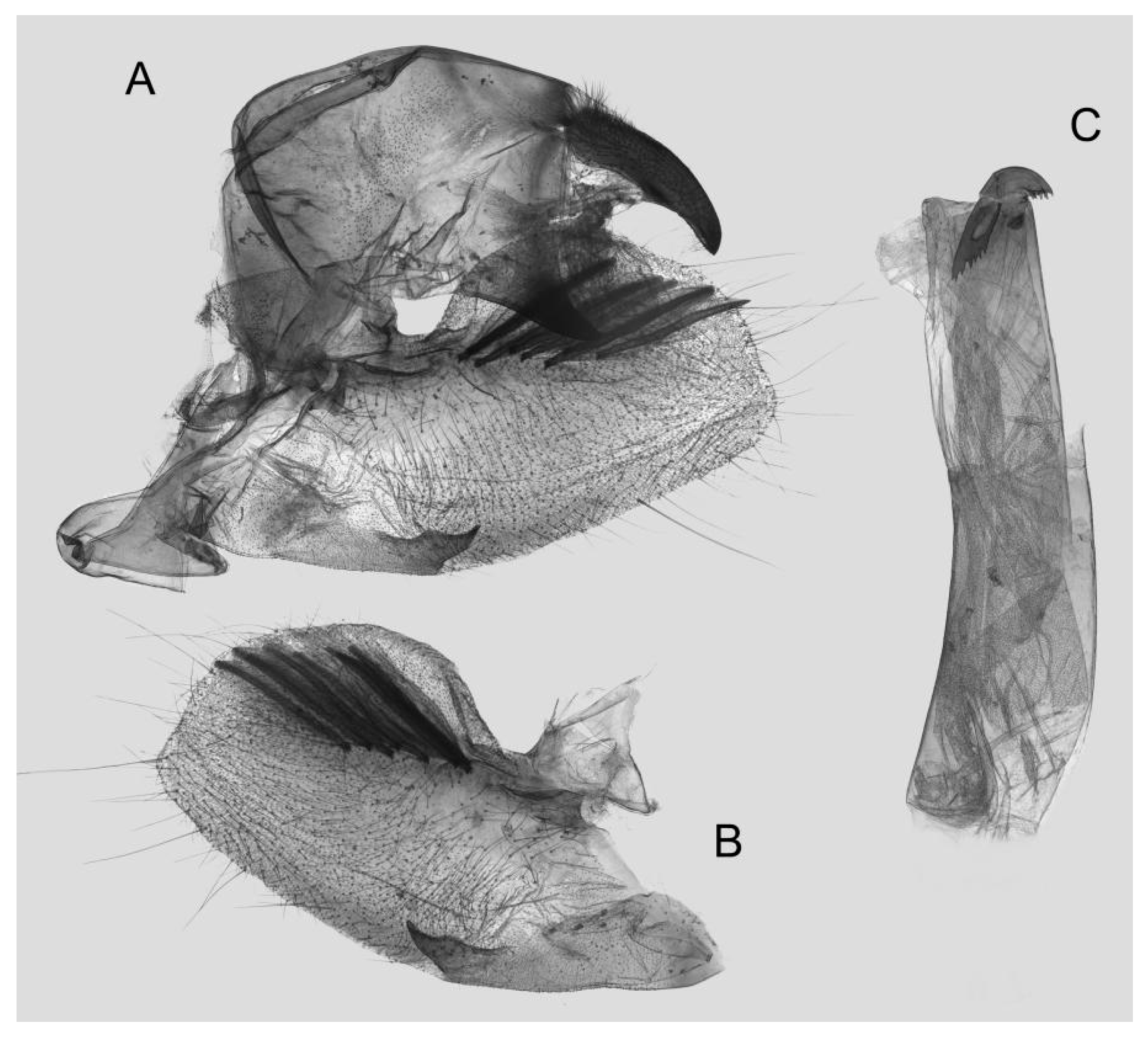 Insects 15 00359 g045