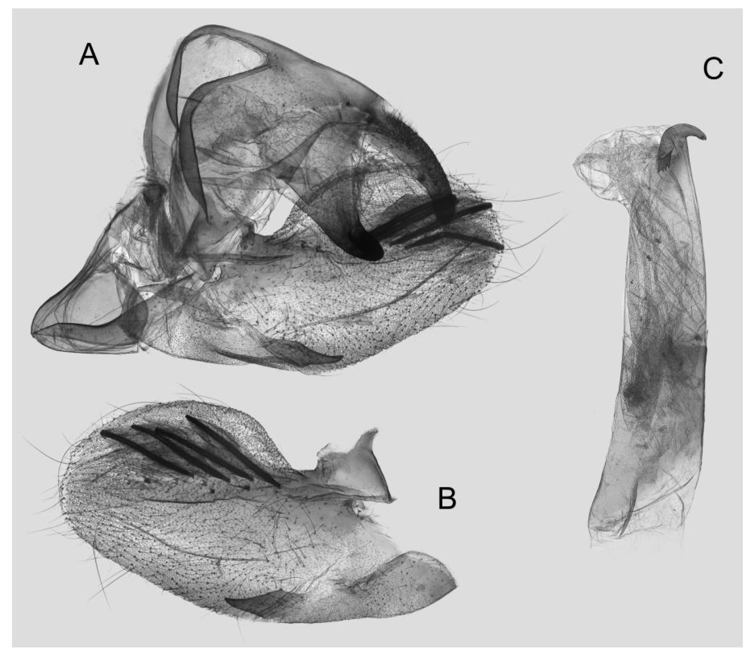 Insects 15 00359 g048