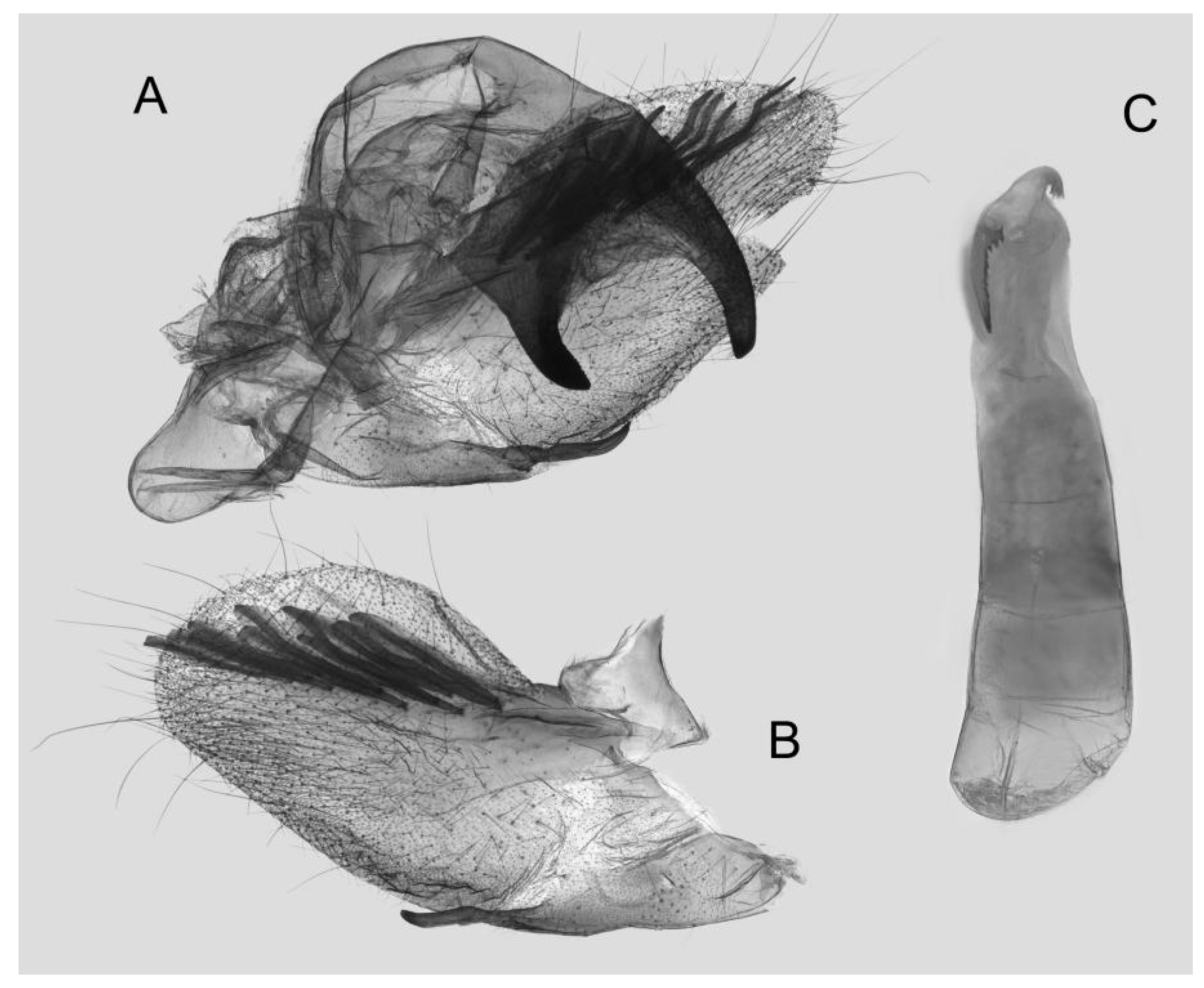 Insects 15 00359 g051