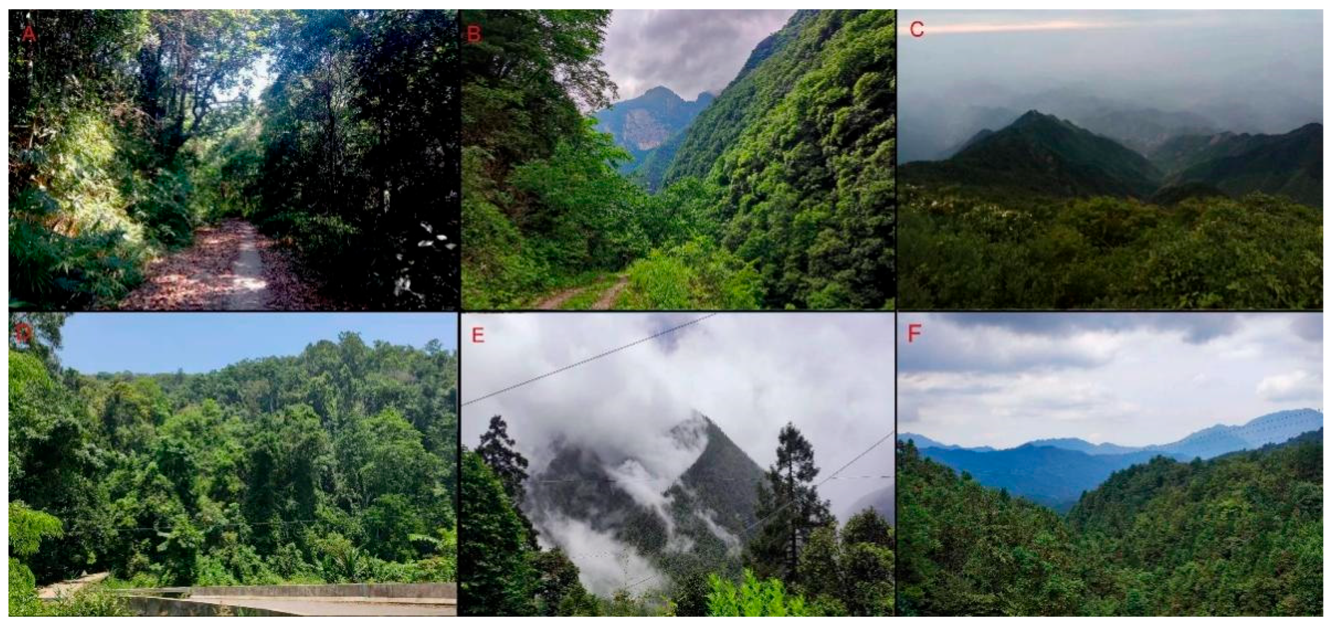 Insects 15 00359 g057