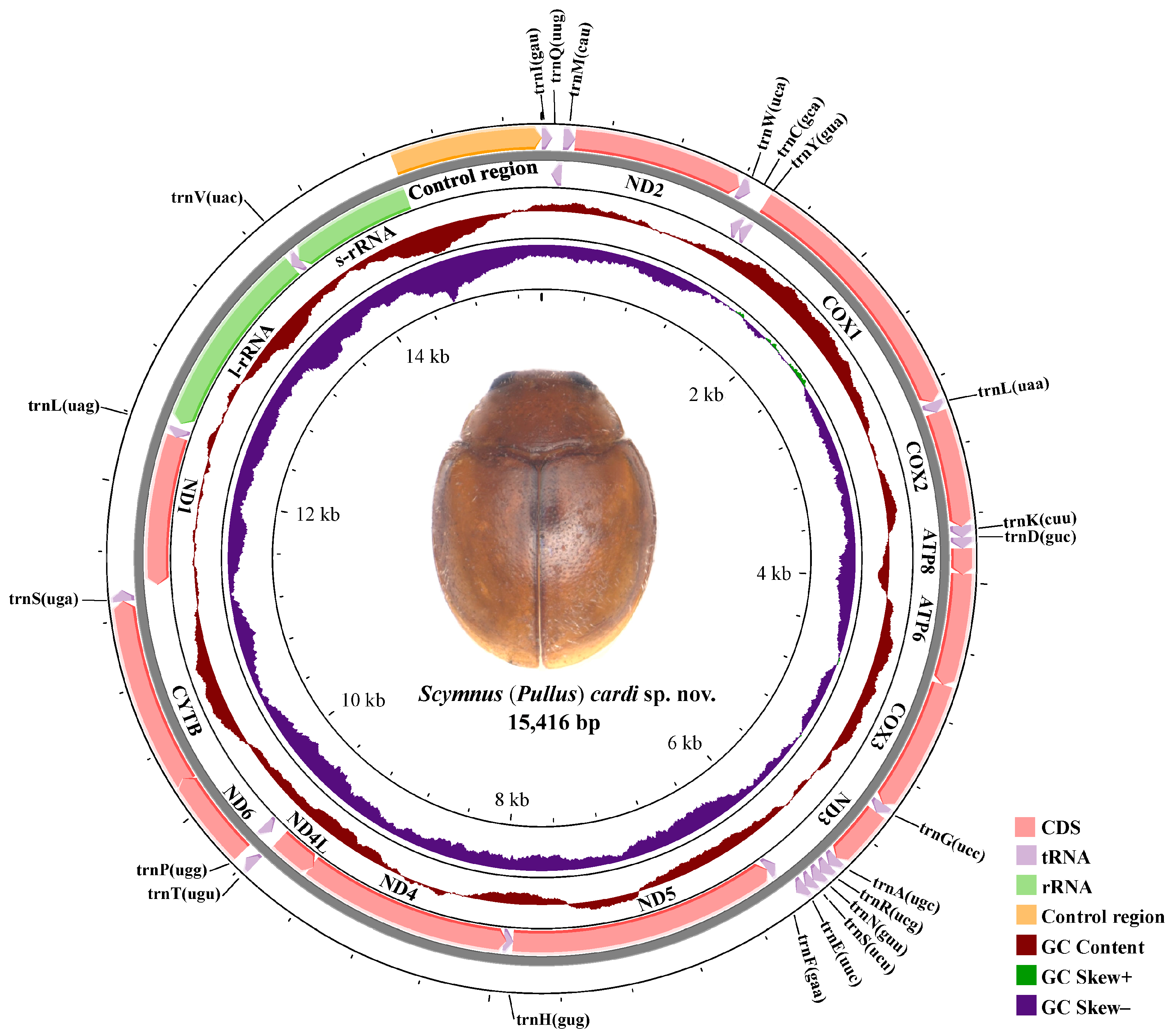 Insects 15 00371 g004
