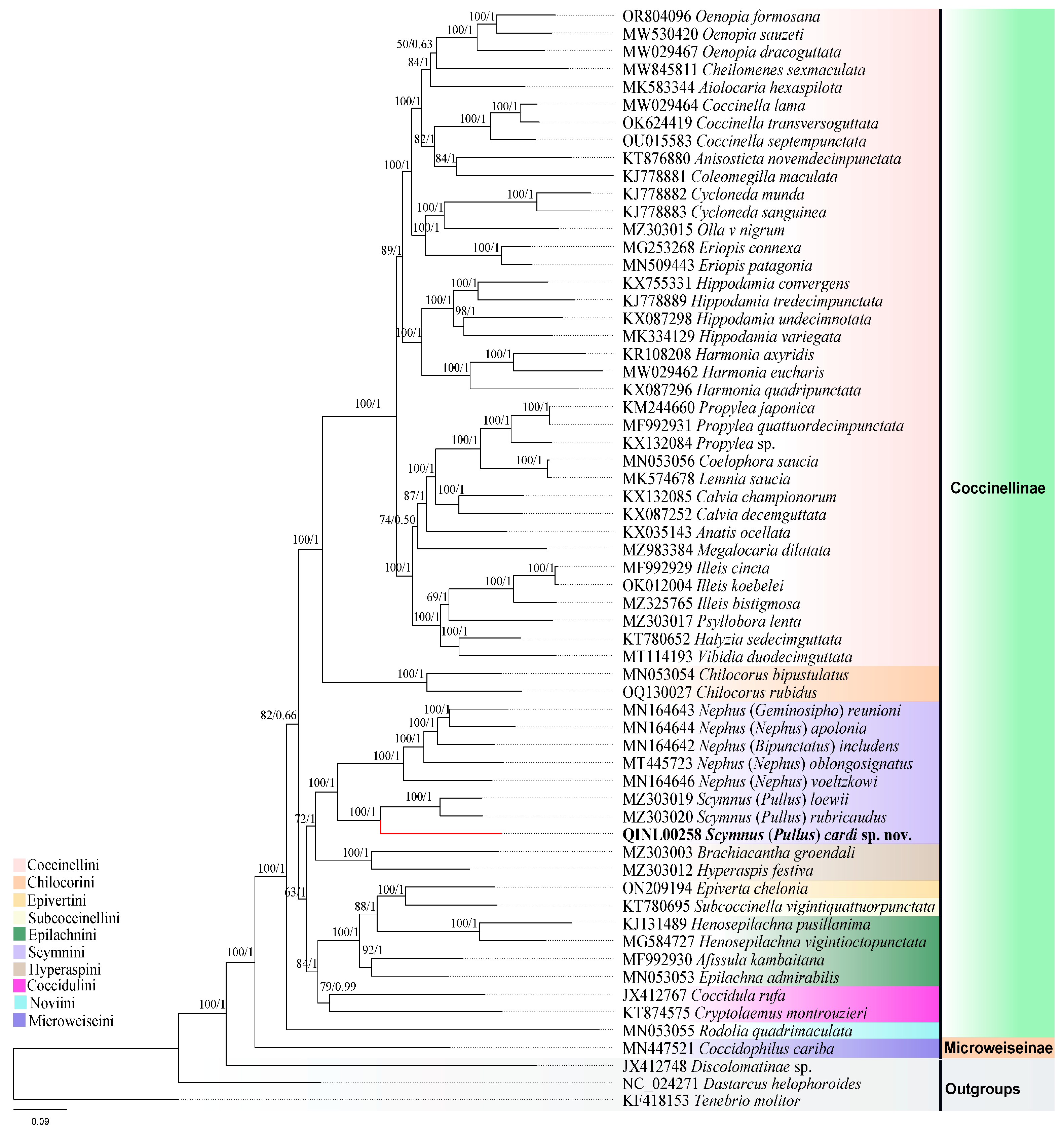 Insects 15 00371 g006