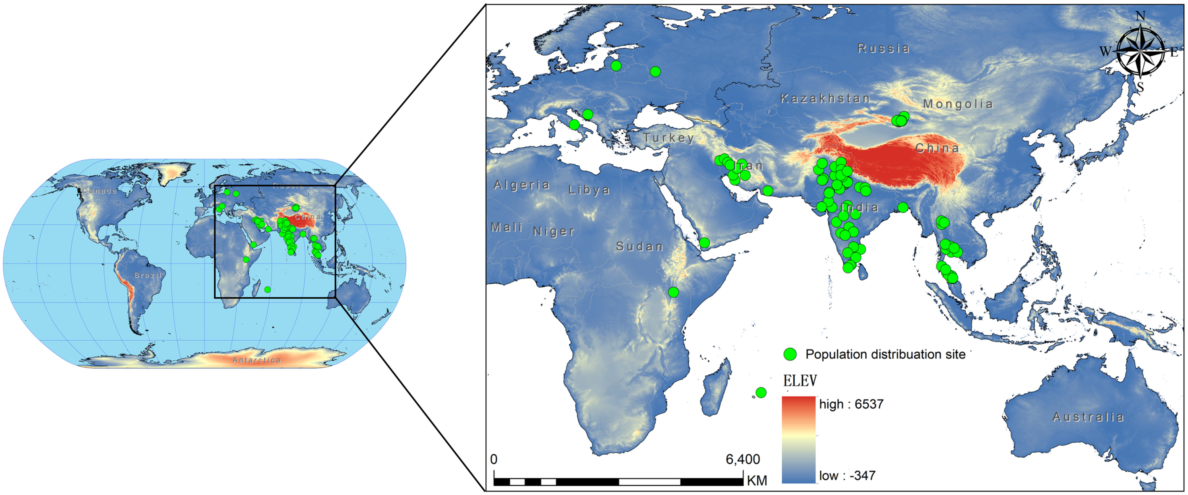 Insects 15 00374 g001