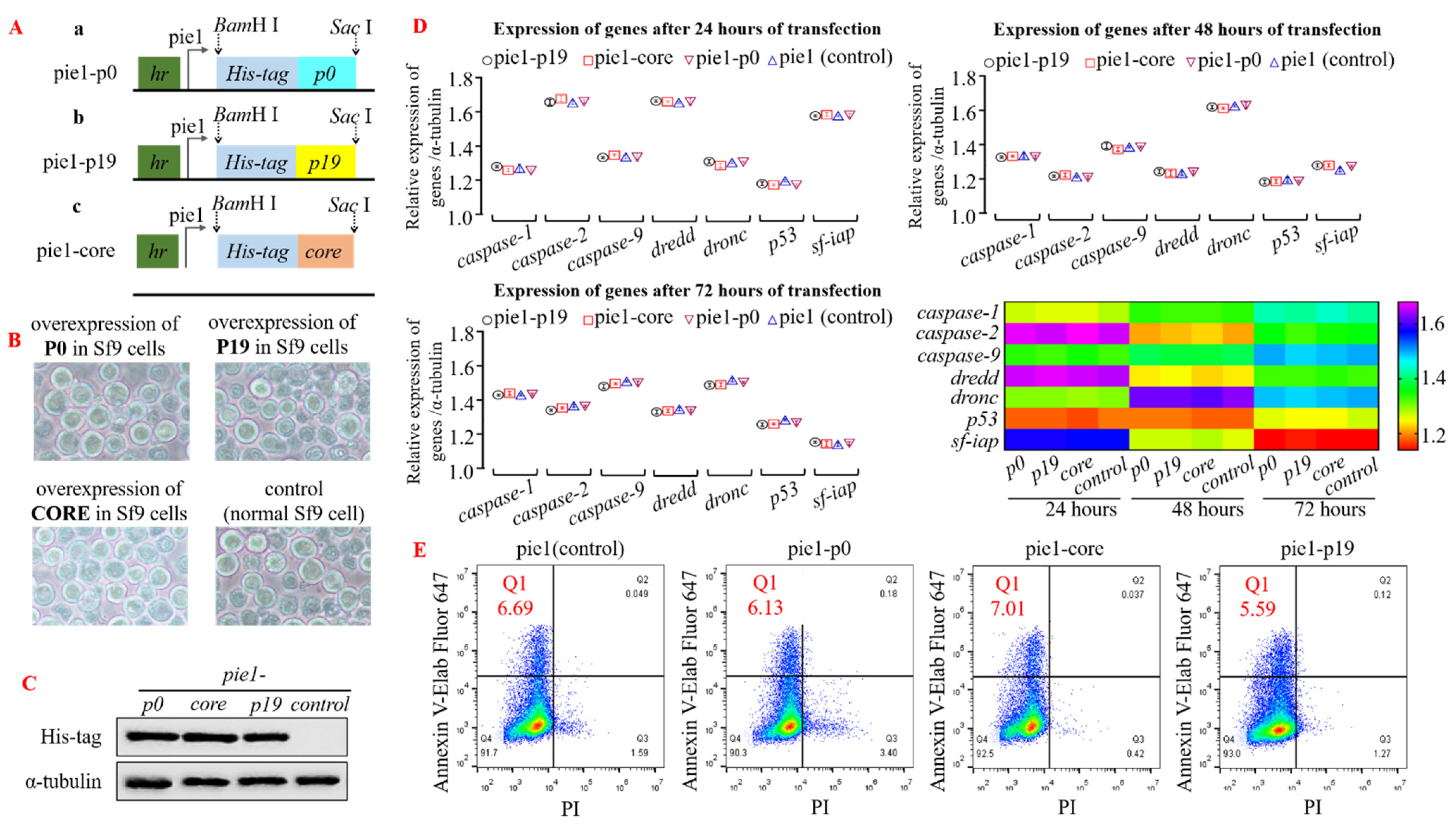 Insects 15 00375 g001