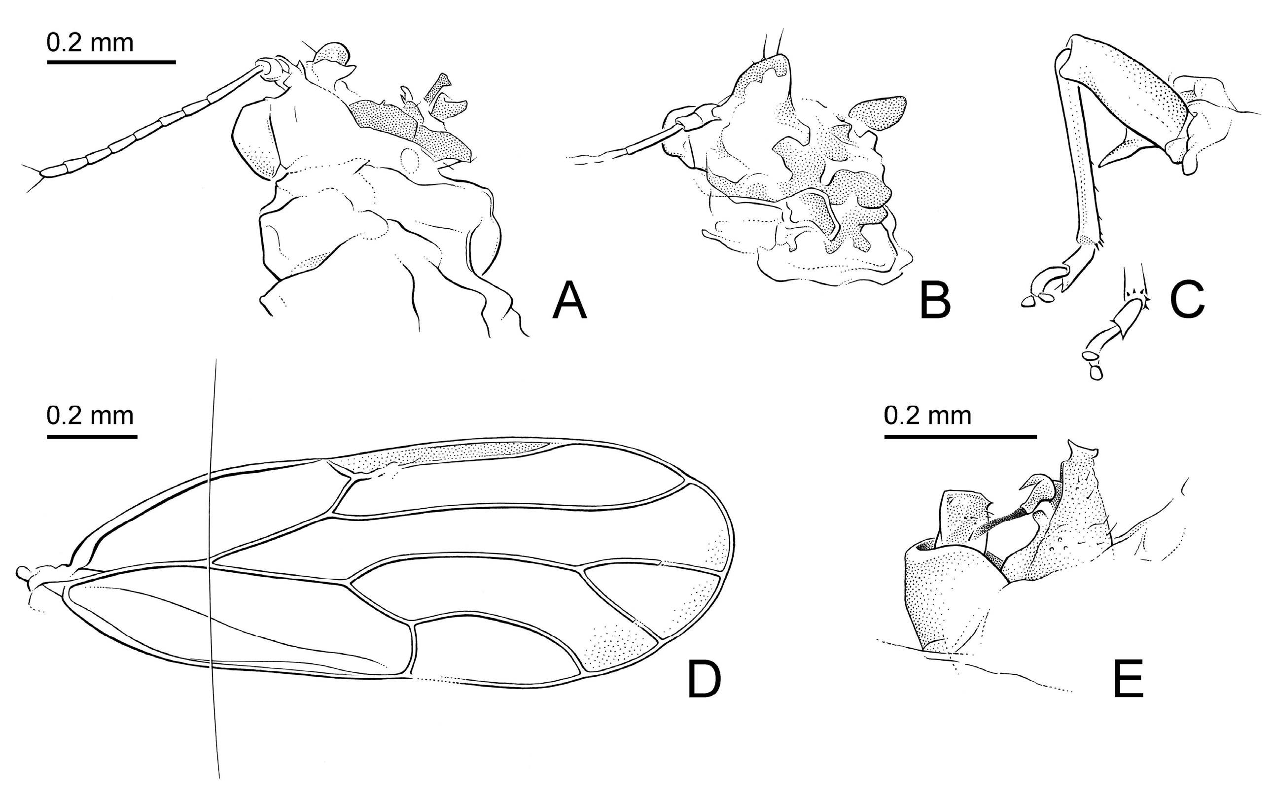 Insects 15 00382 g004