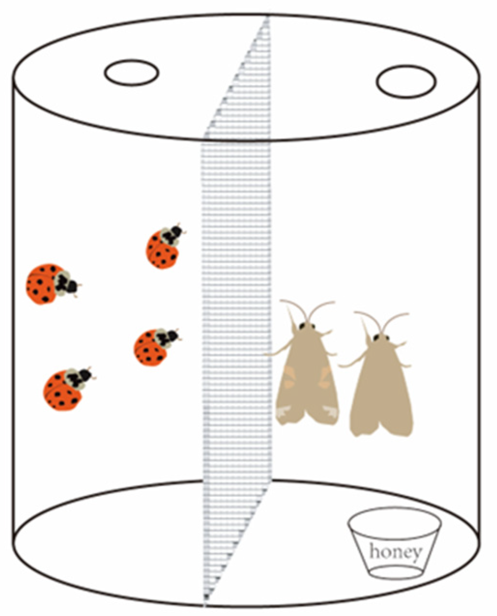 Insects 15 00395 g001