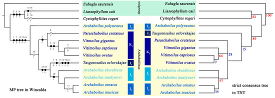 Insects 15 00396 g001