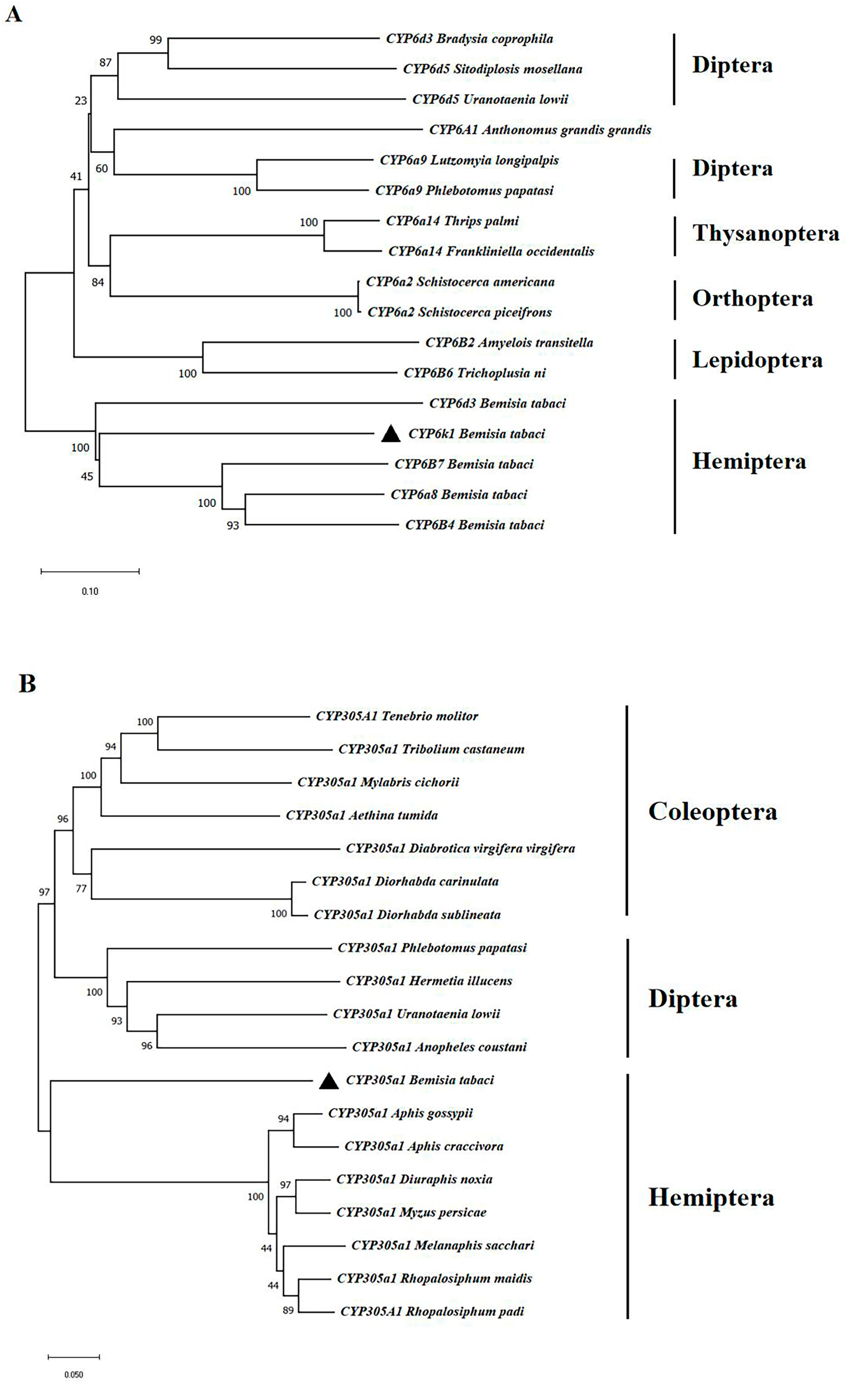 Insects 15 00399 g001