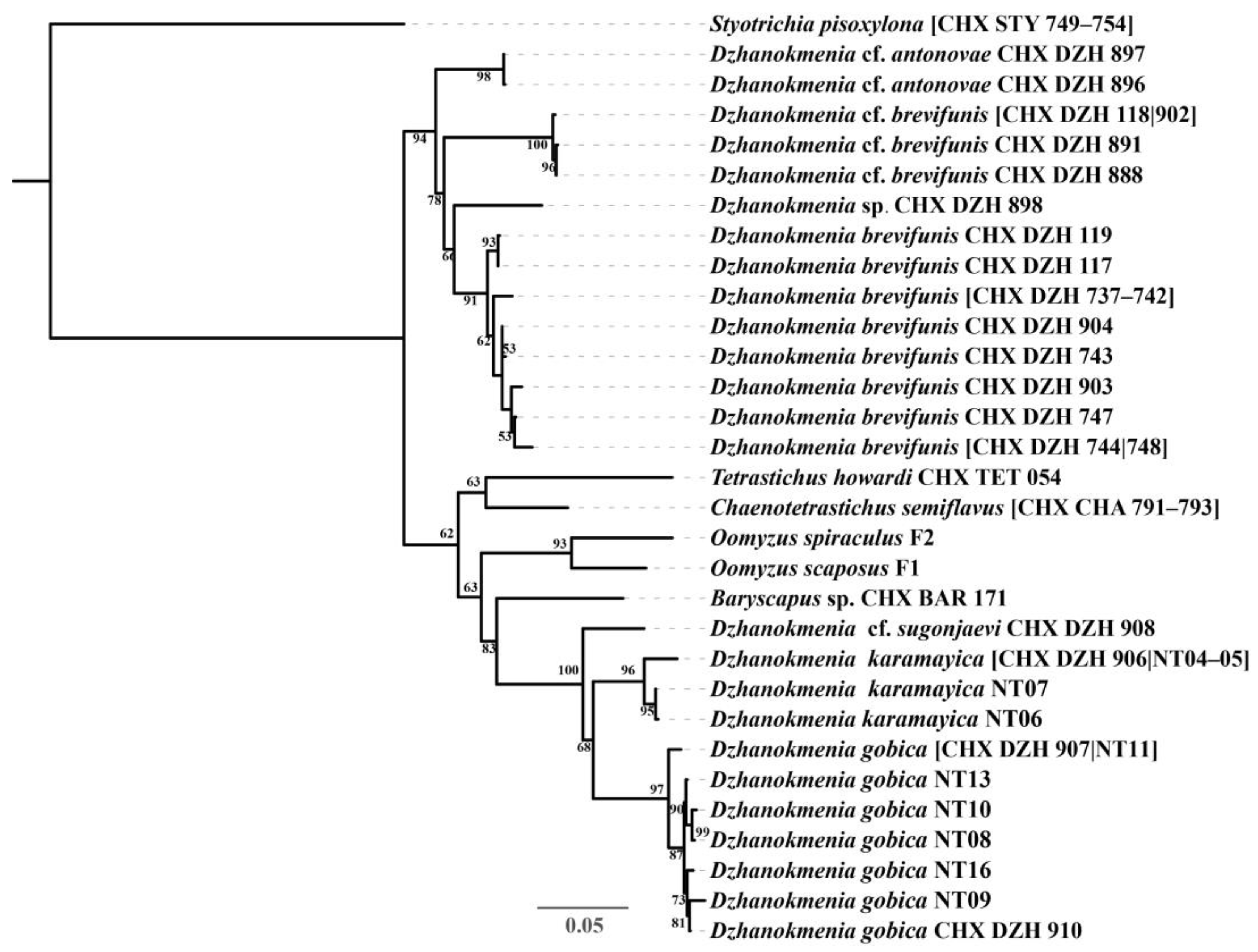 Insects 15 00406 g002