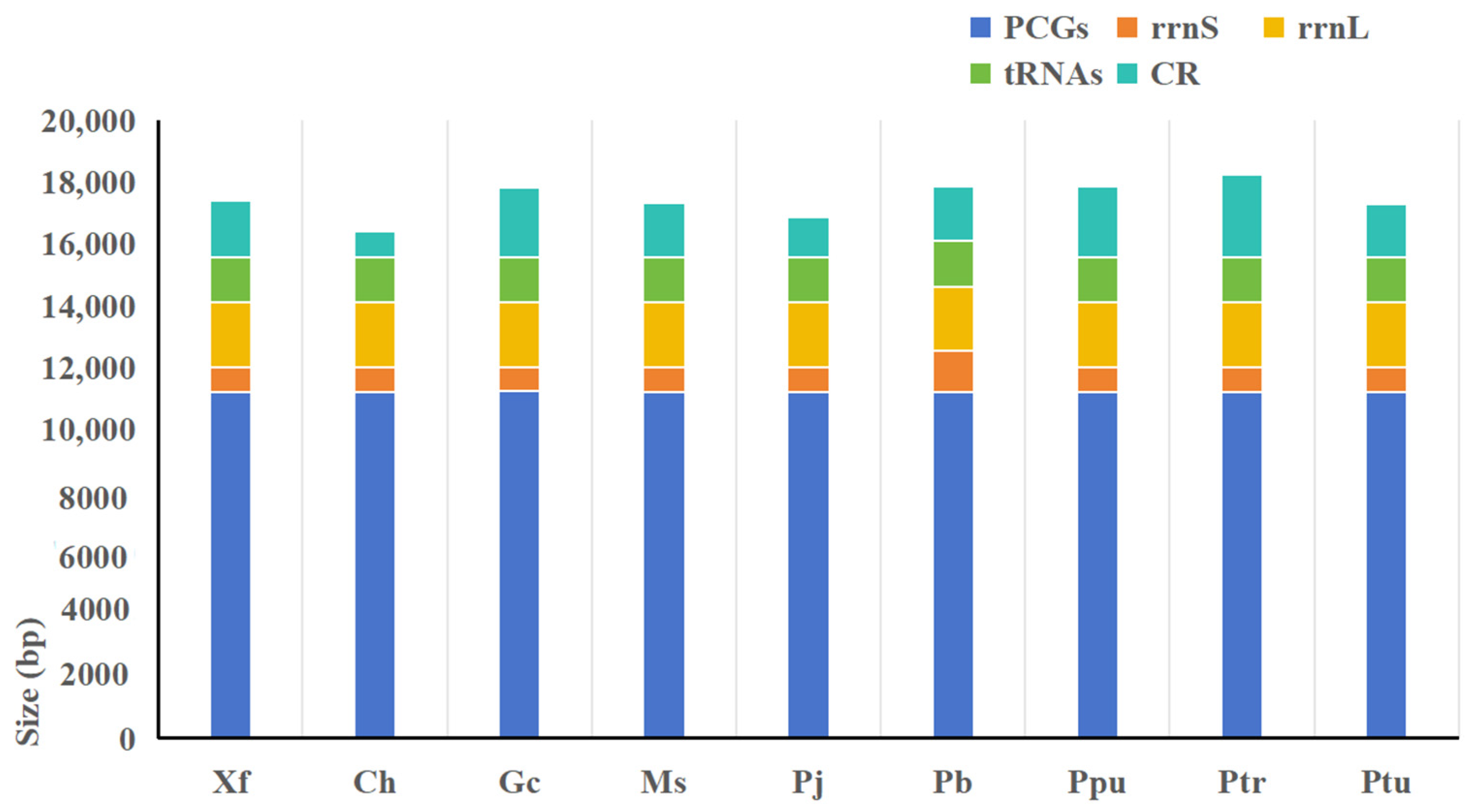 Insects 15 00413 g001