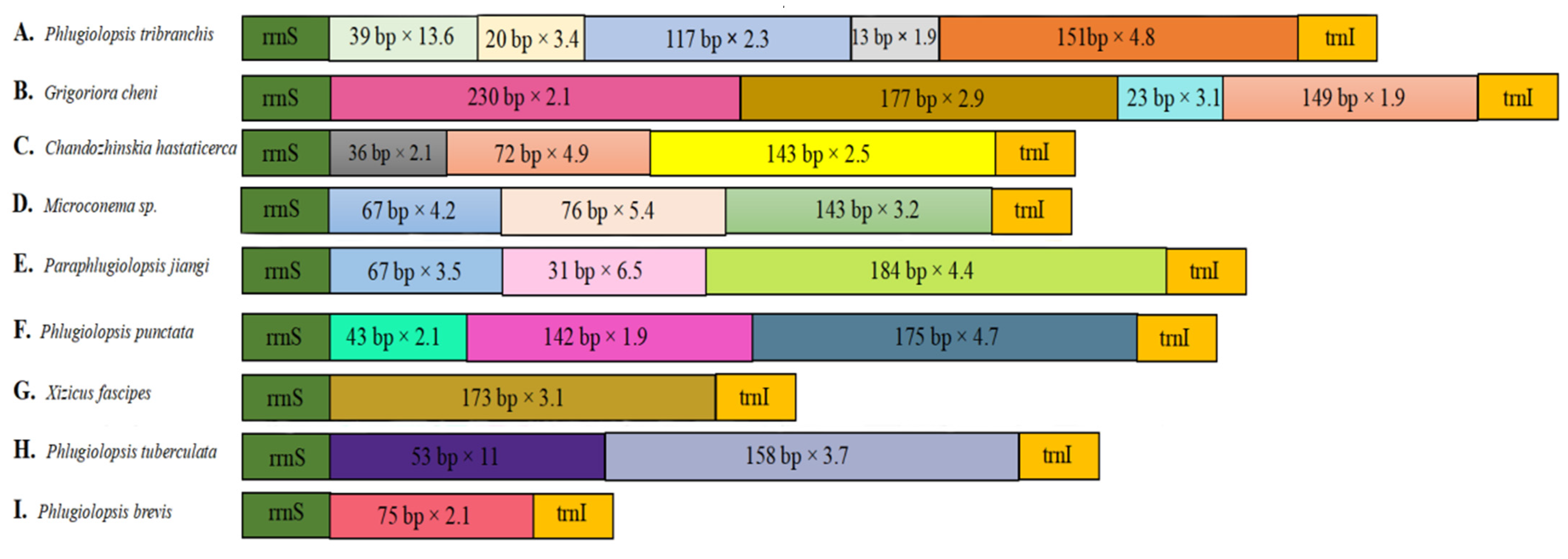 Insects 15 00413 g002