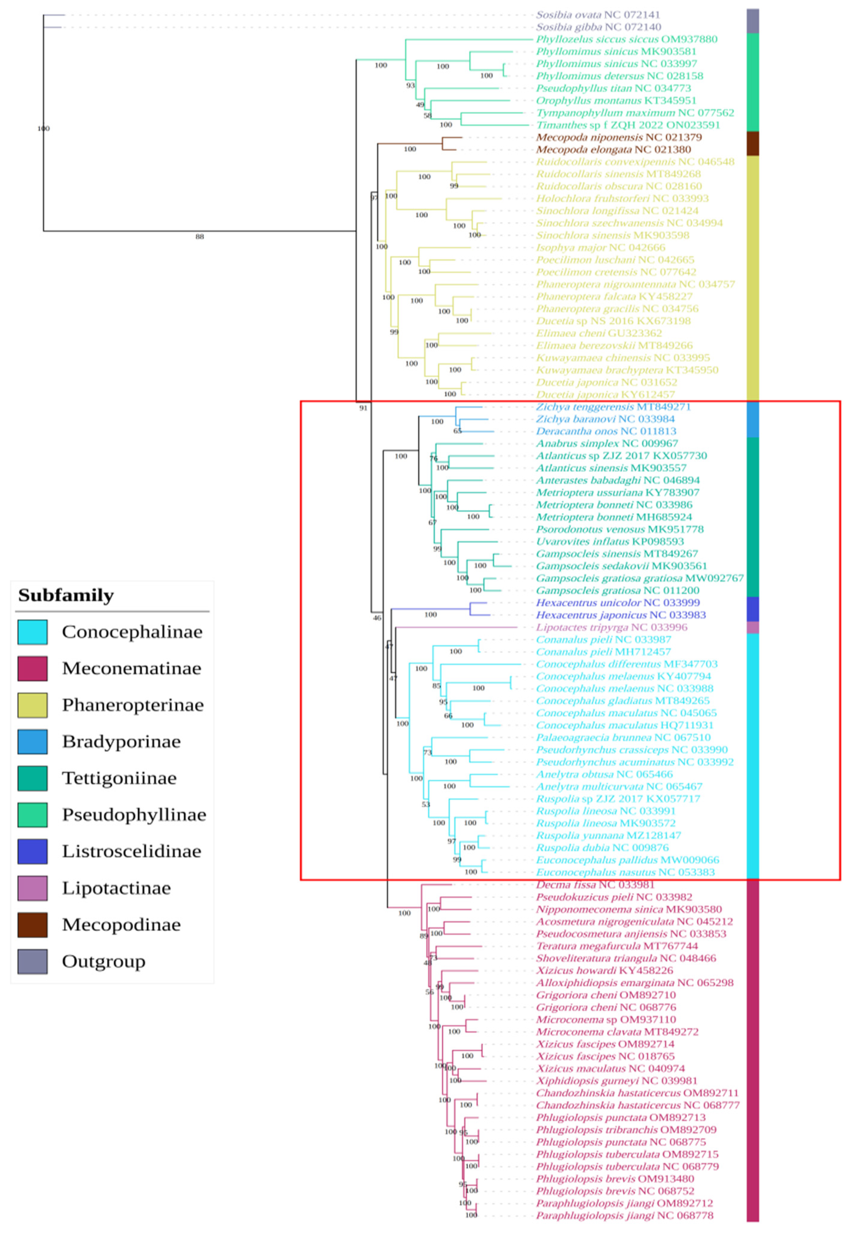 Insects 15 00413 g005