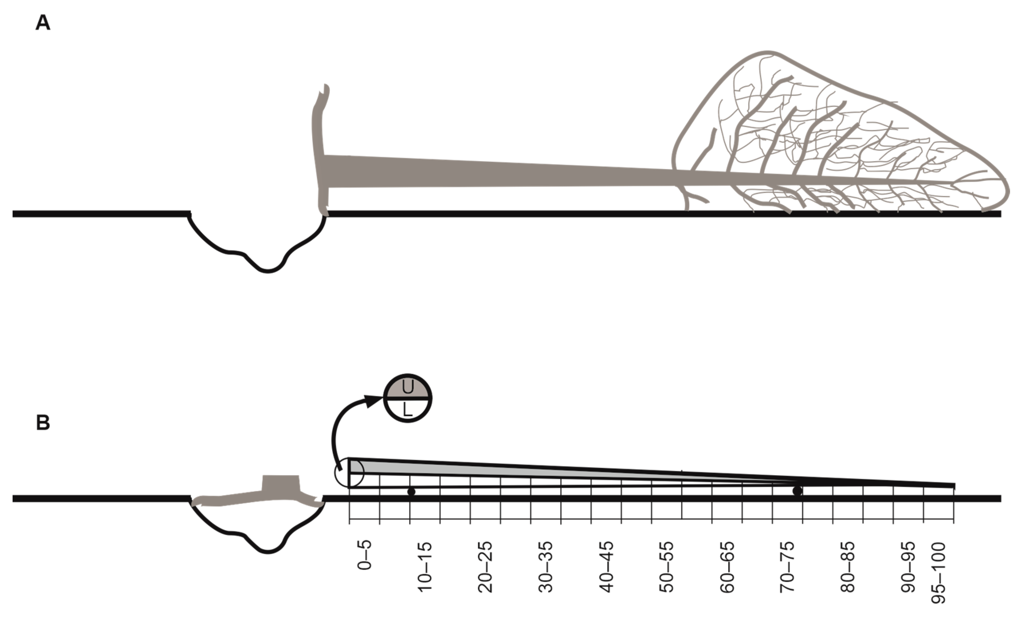 Insects 15 00422 g001 Insects 15 00422 g001