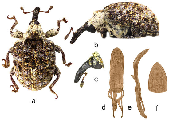 Insects 15 00434 g004