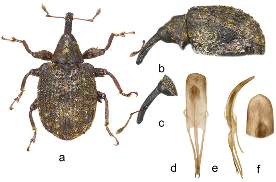 Insects 15 00434 g007