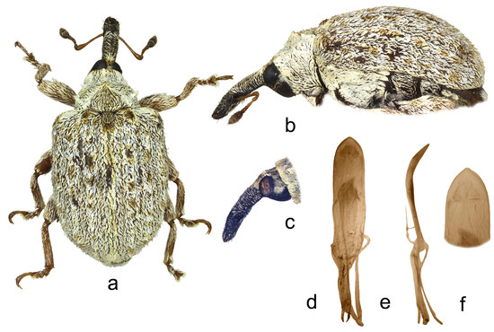 Insects 15 00434 g008