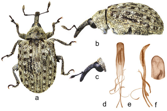 Insects 15 00434 g013